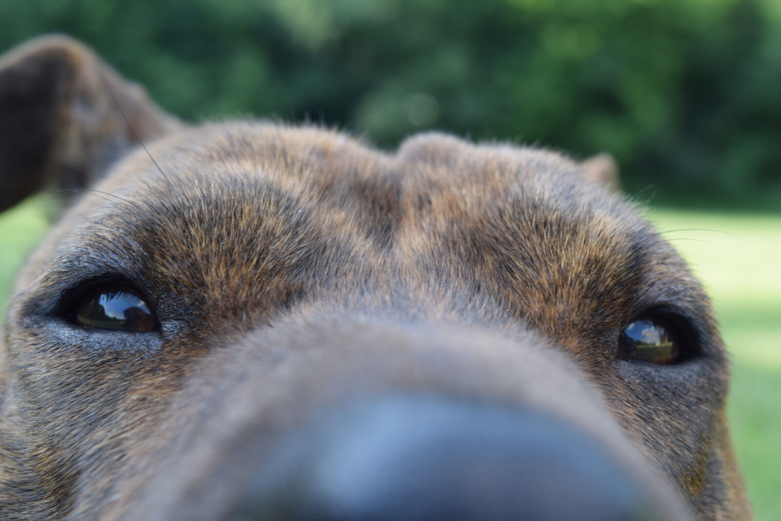 Nikon D3300 sample photo