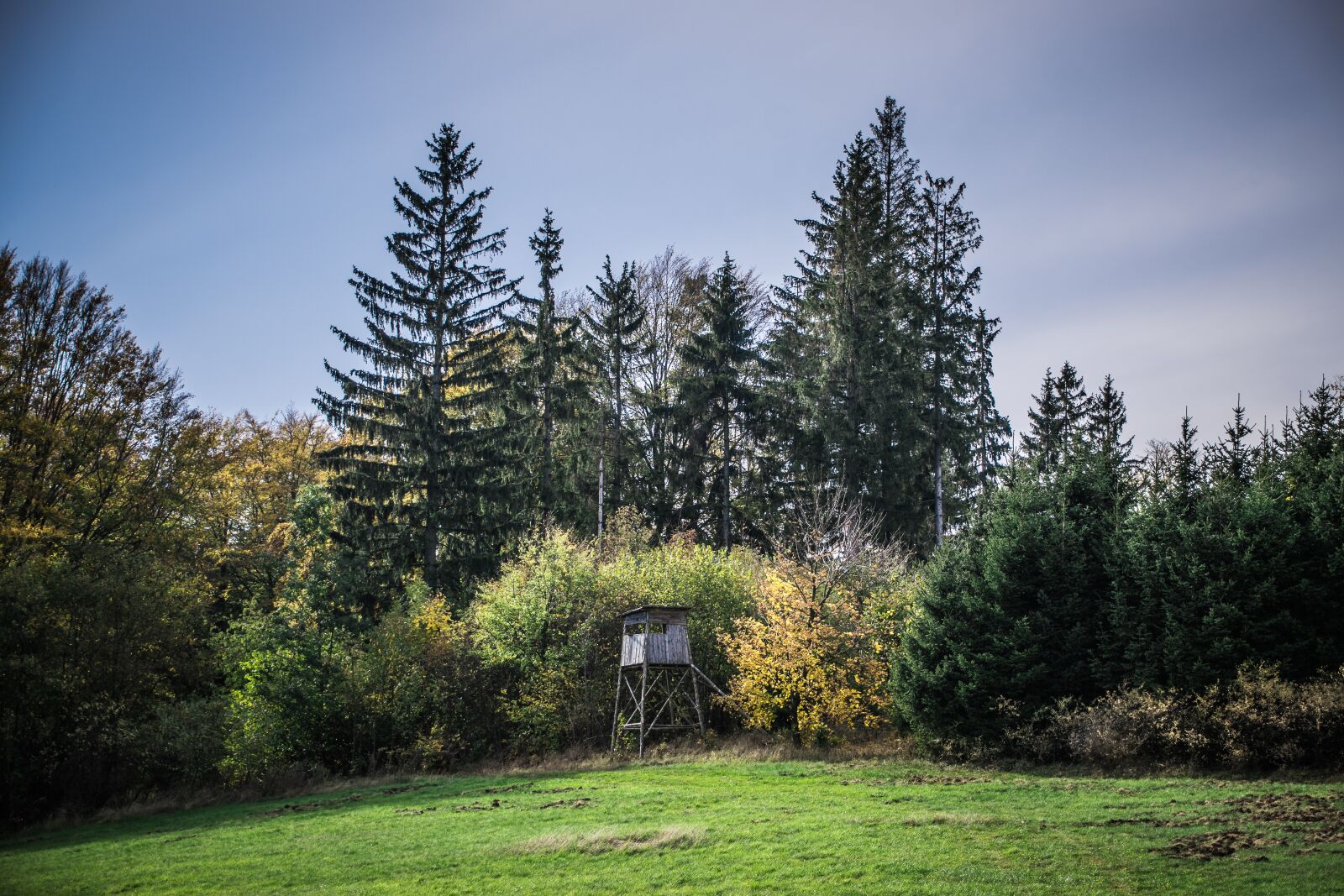 Nikon D5300 sample photo. Hunting, forest, meadow photography