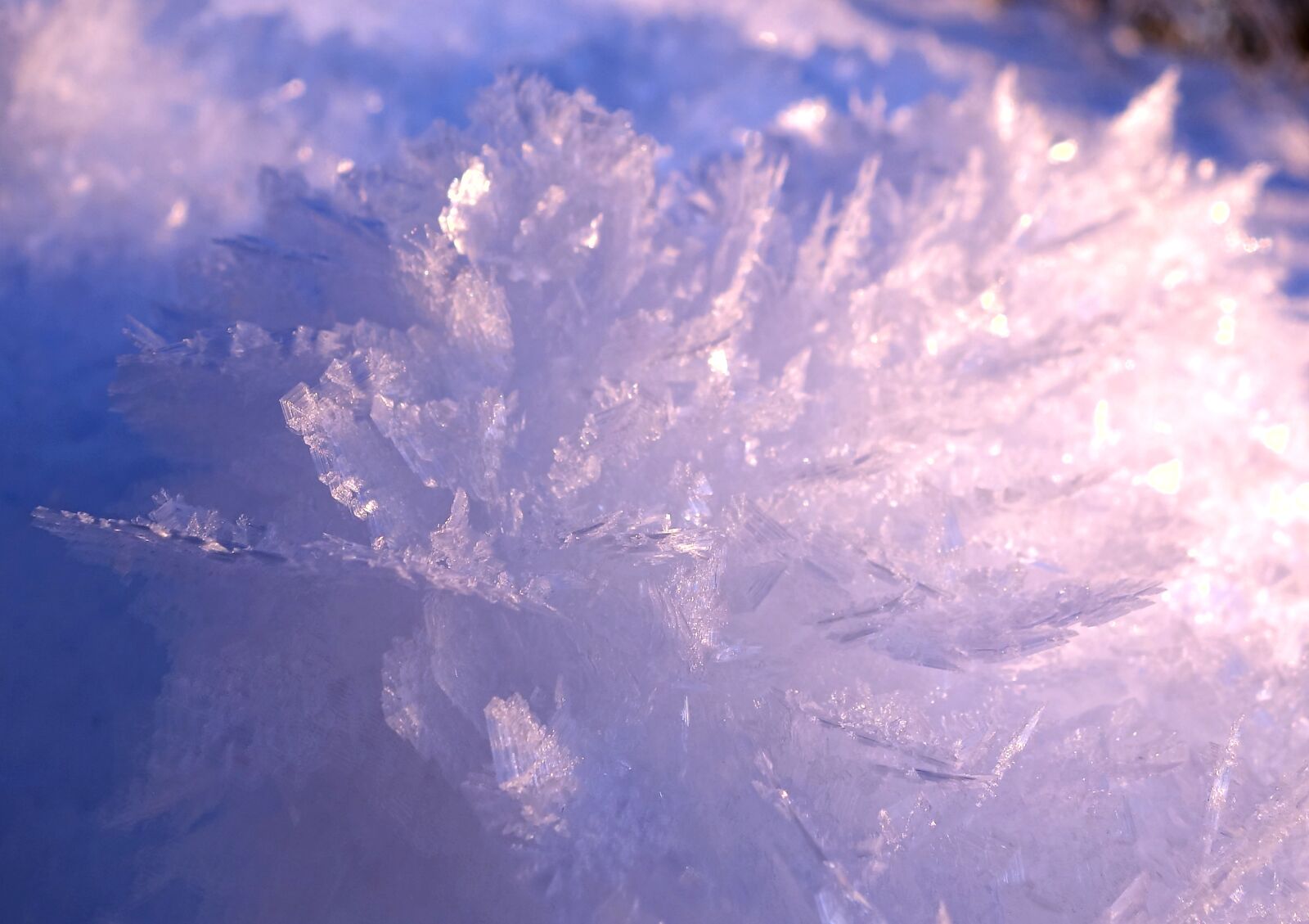 Sony Cyber-shot DSC-RX100 sample photo. Ice, crystals, frost photography