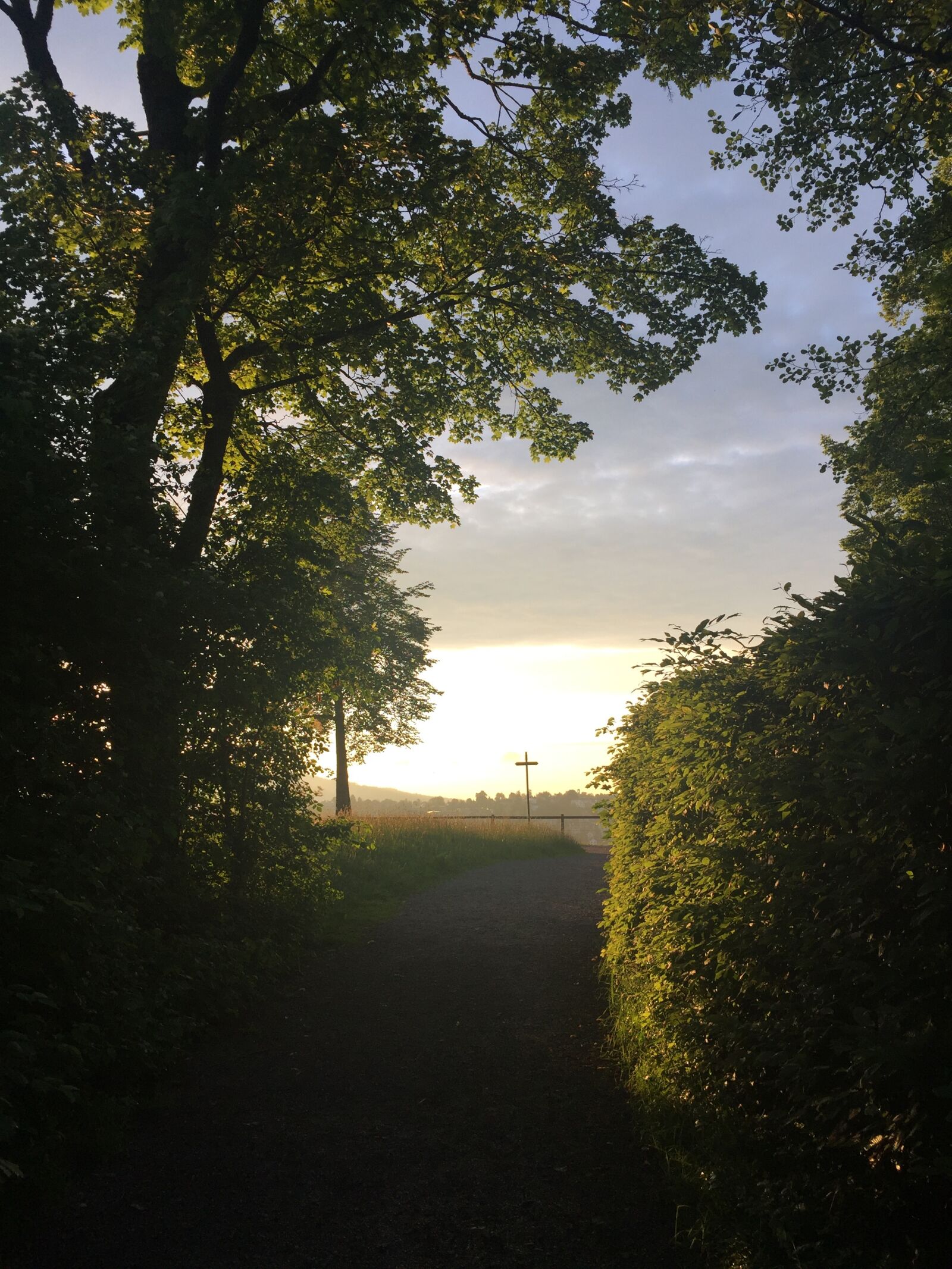 Apple iPhone 6 sample photo. Sunset, abendstimmung, nature photography