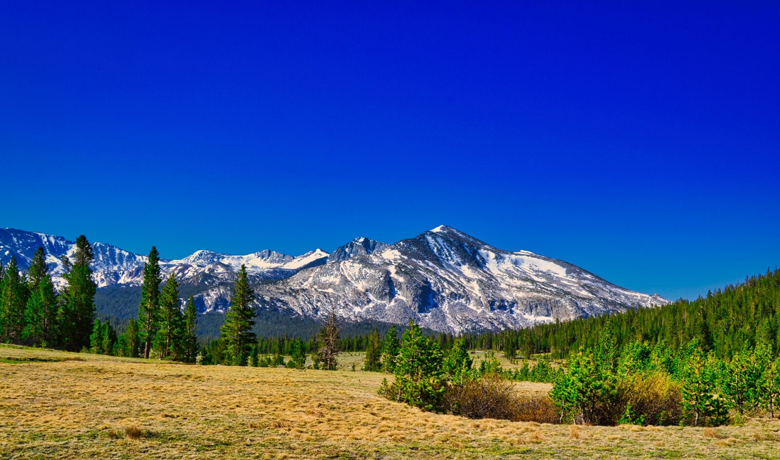 Nikon D3100 sample photo. Mount kuna crest, yosemite photography