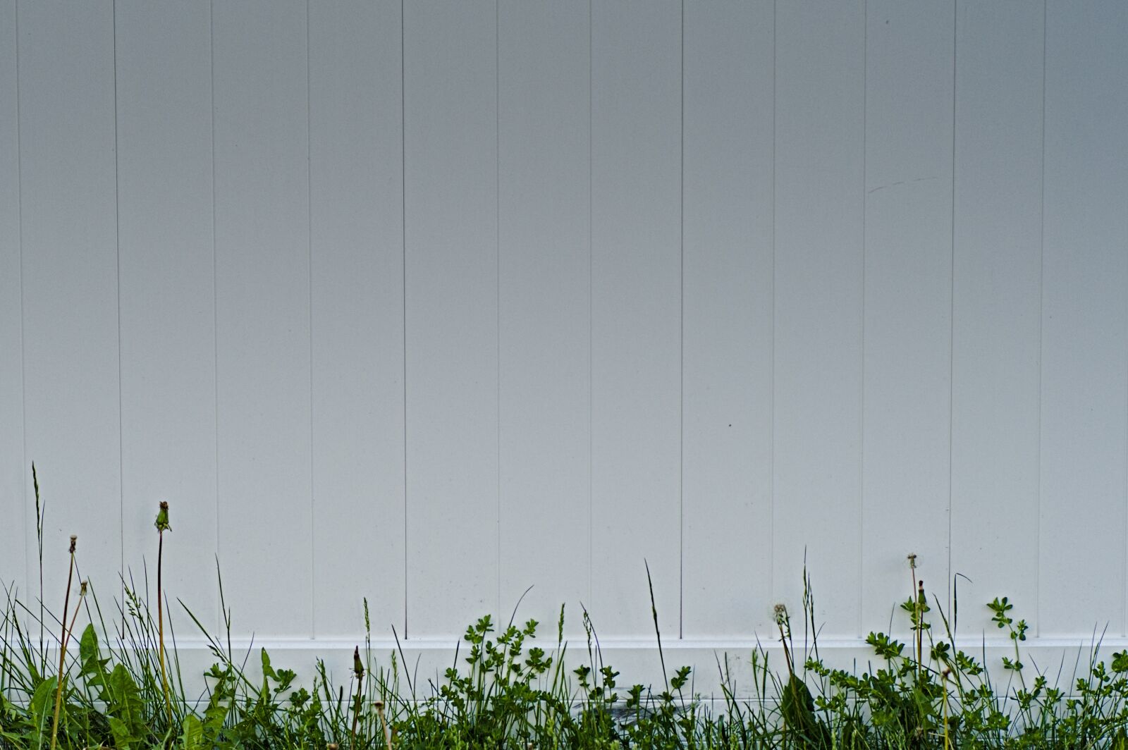 Nikon D7500 sample photo. White, picket, fence photography