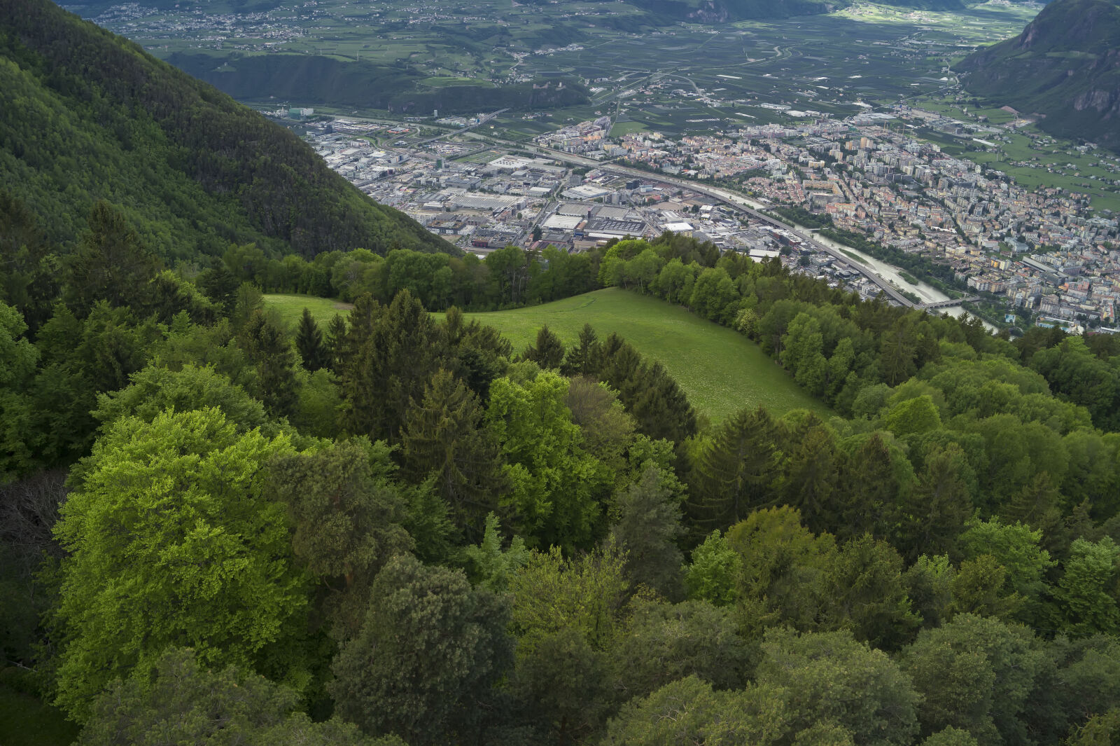 Sony DT 18-55mm F3.5-5.6 SAM II sample photo. Alto, adige, birds, view photography