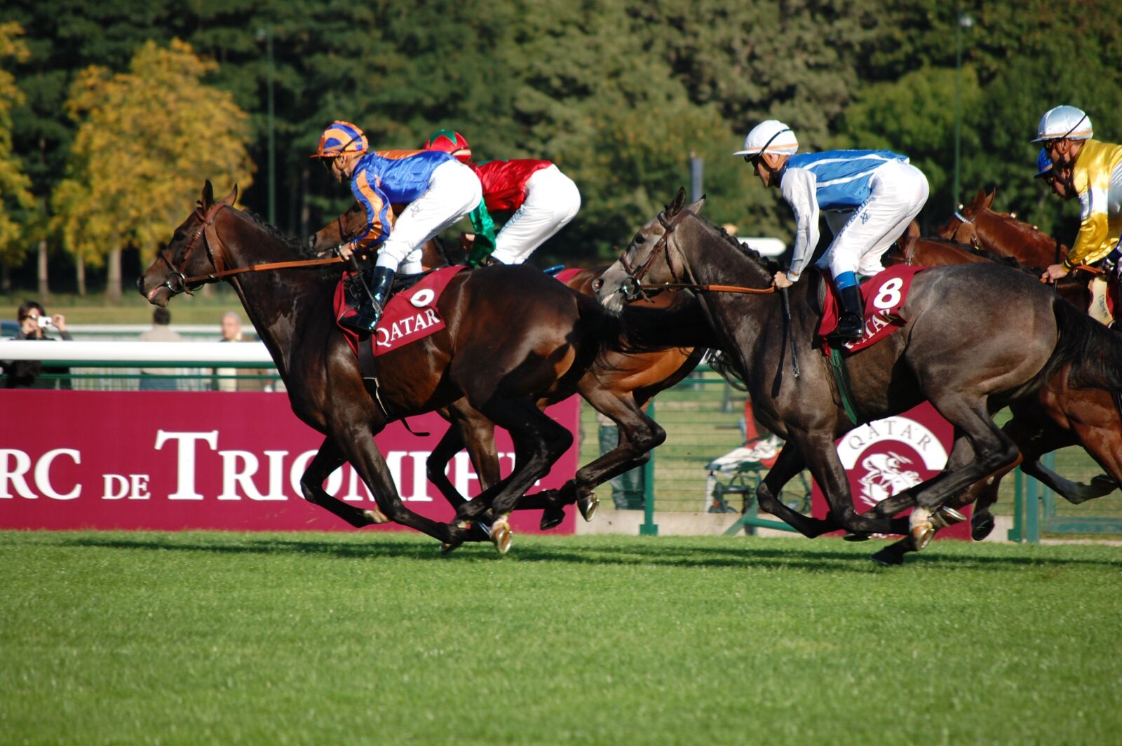 Nikon D40 sample photo. Longchamp, horse, race photography