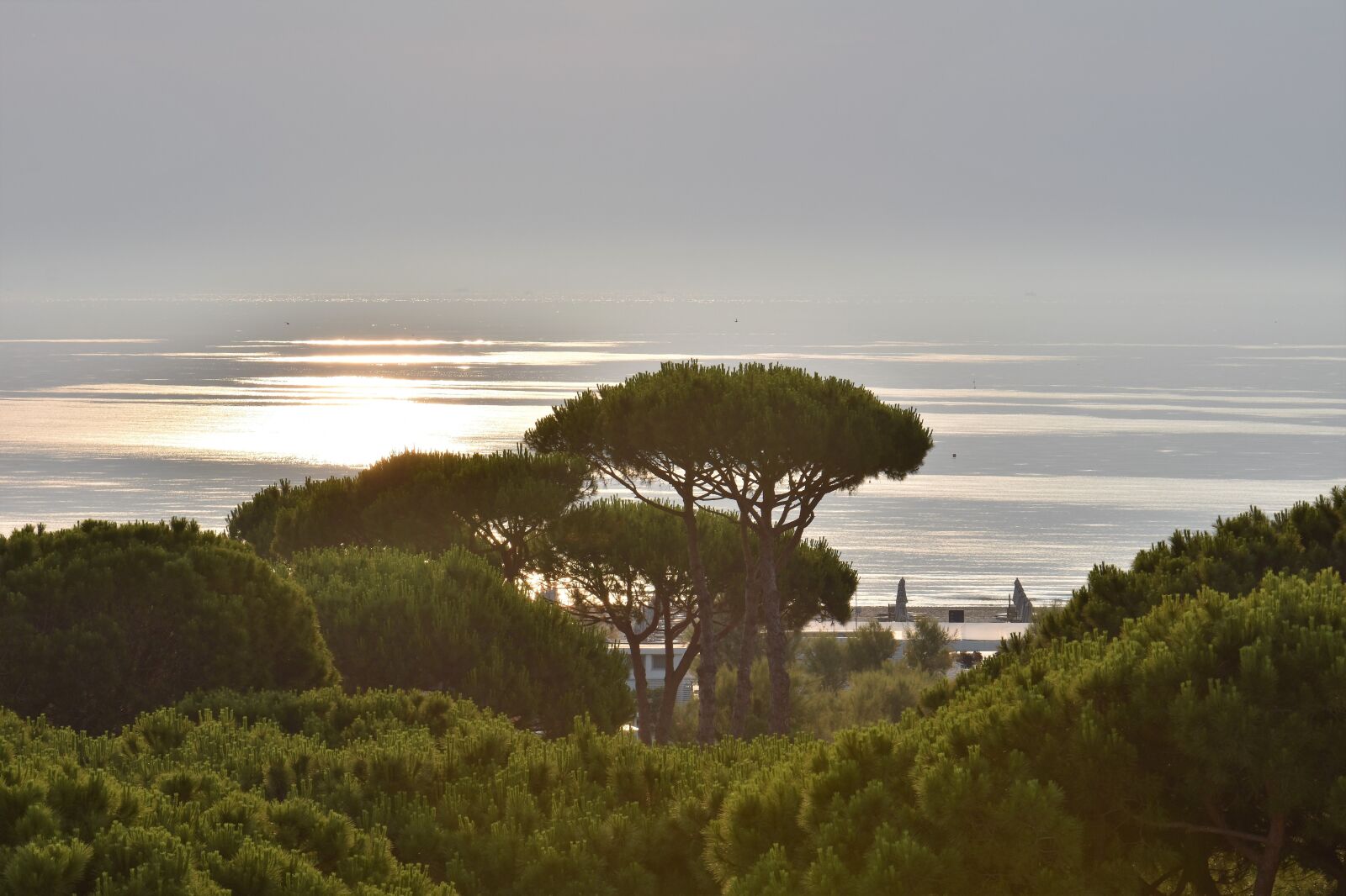 Nikon D5500 sample photo. Sunrise, morning, sun photography