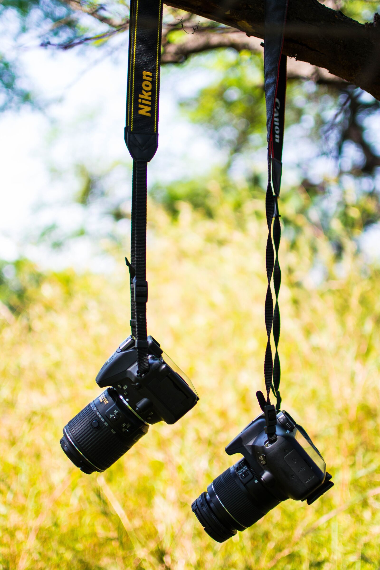 Nikon D5200 sample photo. Camera, dslr, photography photography