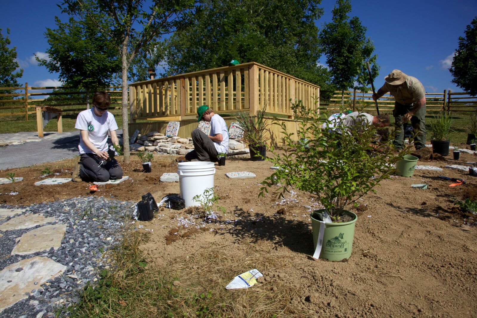 Canon EOS 5D Mark II sample photo. Youth, work, gardening, conservation photography