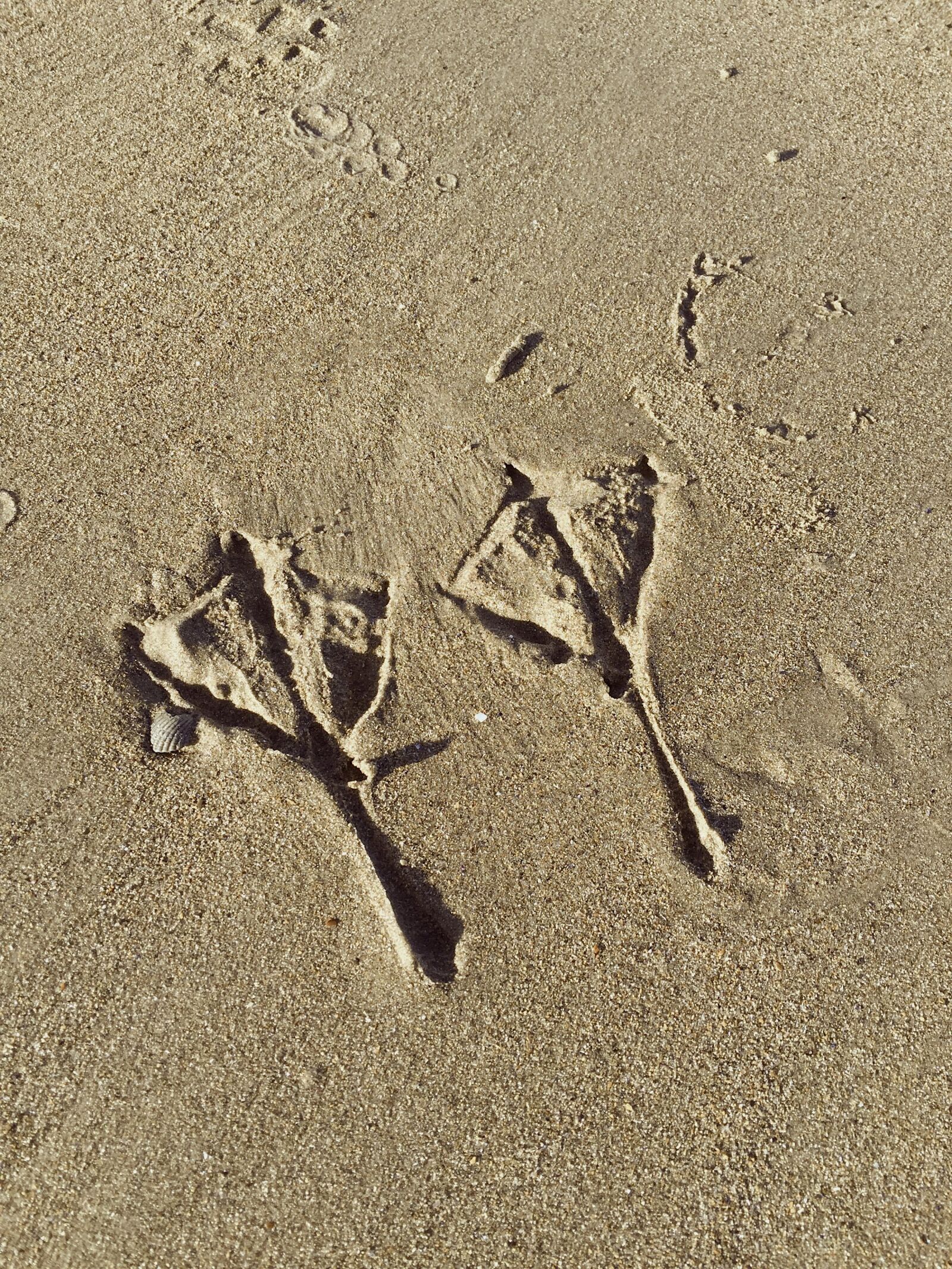 Apple iPhone 6 sample photo. Sand, beach, footprint photography