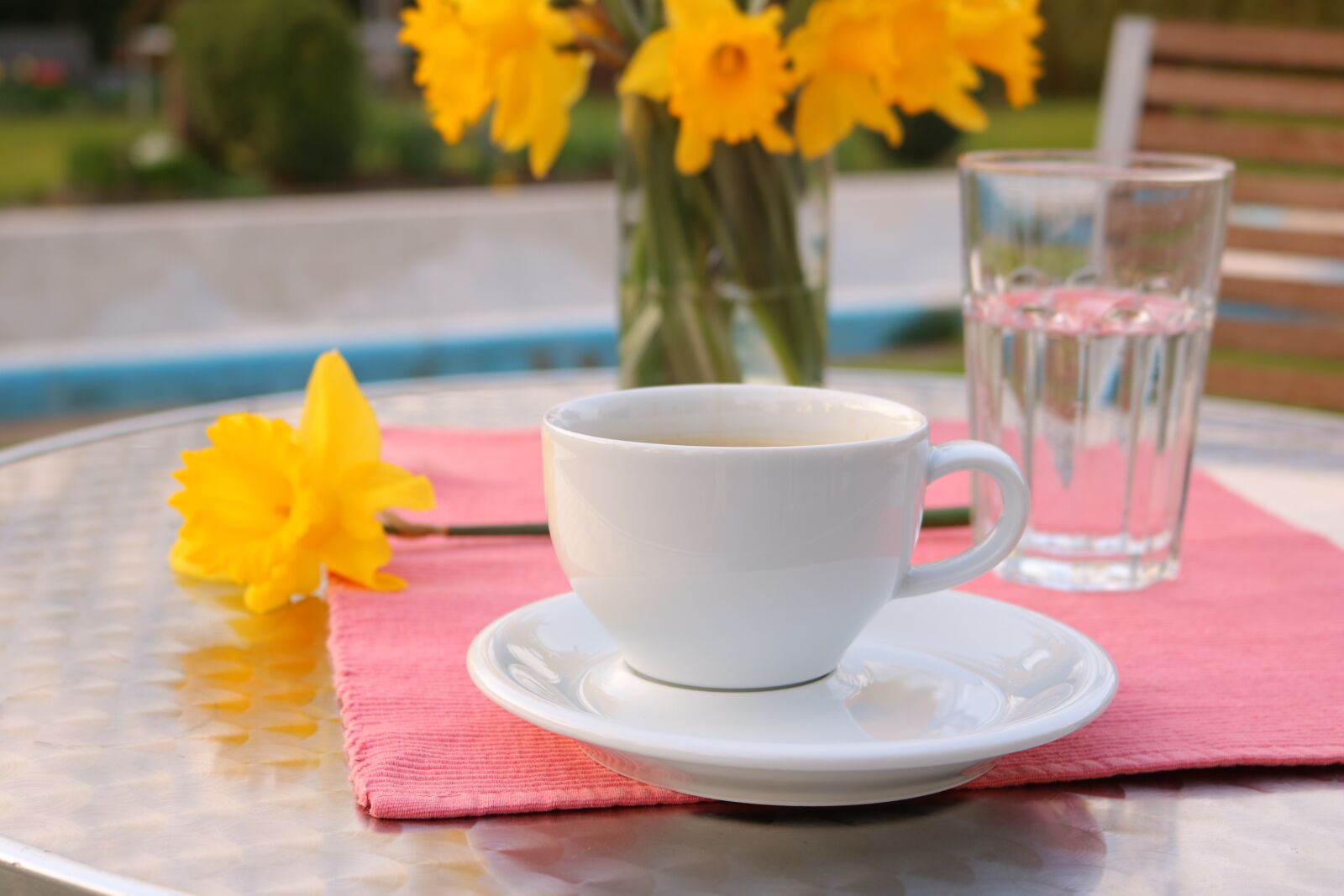 Canon EOS 750D (EOS Rebel T6i / EOS Kiss X8i) sample photo. Coffee, garden, caffeine photography