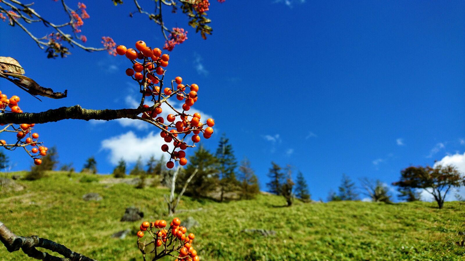 Sony Xperia X Compact sample photo. Mountain, mt, blue sky photography