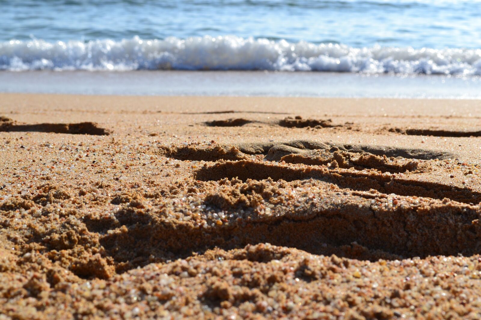 Nikon D3100 sample photo. Beach, sand, sea photography