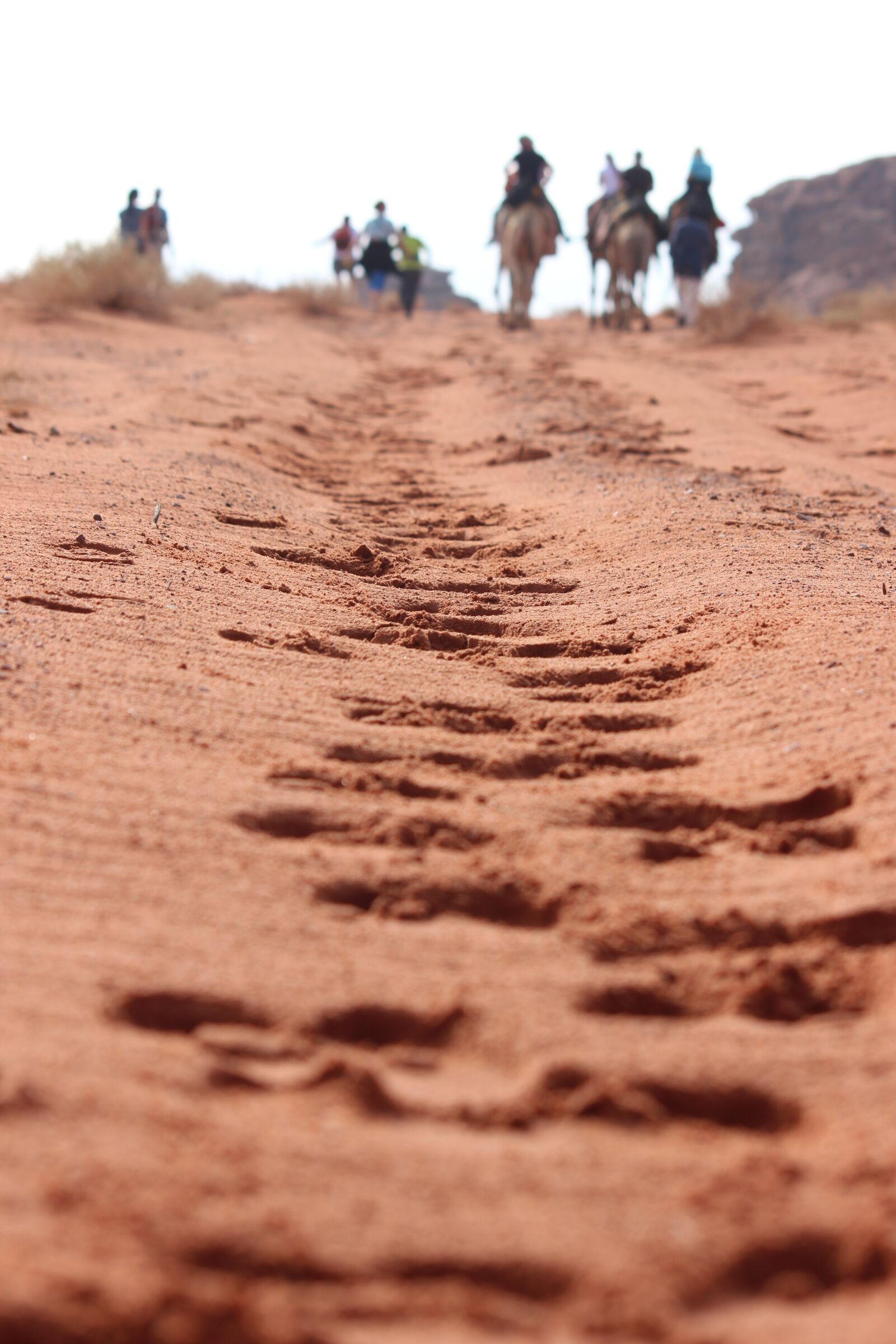 Canon EOS 600D (Rebel EOS T3i / EOS Kiss X5) sample photo. Caravan, desert, camels photography