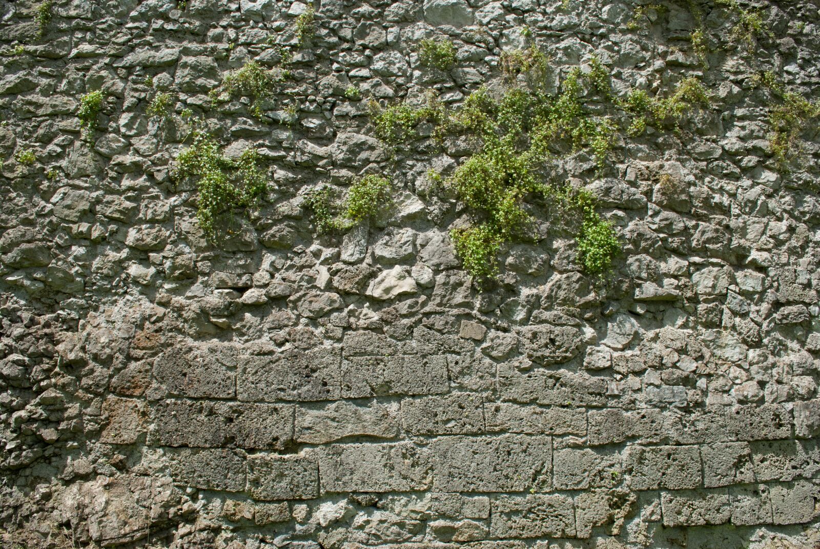 Nikon D60 sample photo. Stone wall, wall, garden photography