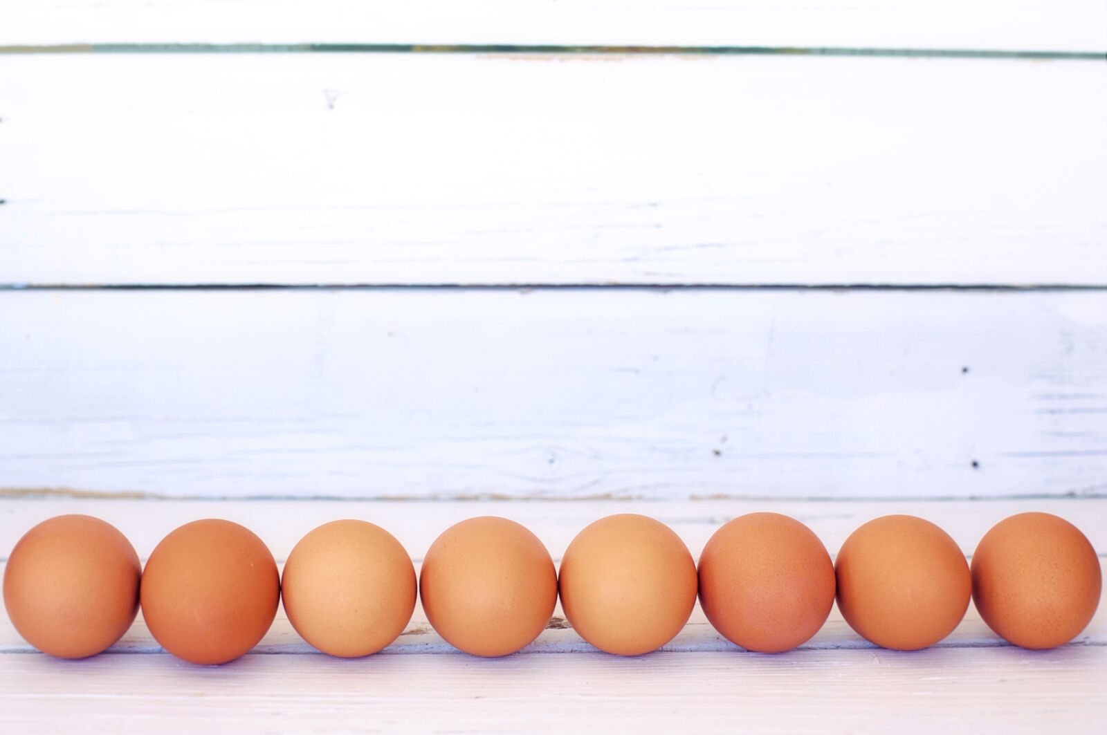 Canon EF 50mm F1.4 USM sample photo. Brown eggs, white space photography