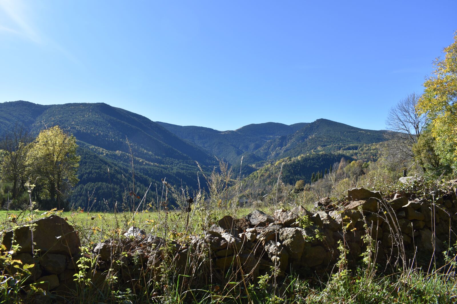 Nikon D3400 sample photo. Landscape, prado, field photography