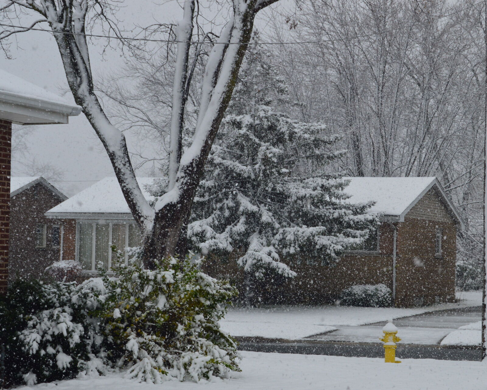Nikon D3200 sample photo