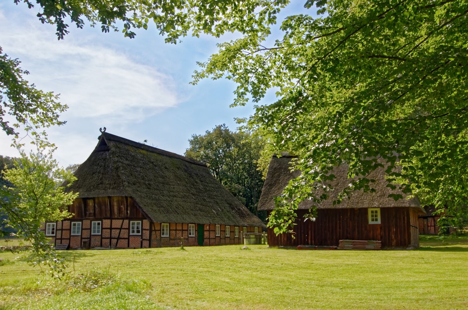 Nikon D7000 sample photo. Germany, l neburg heath photography