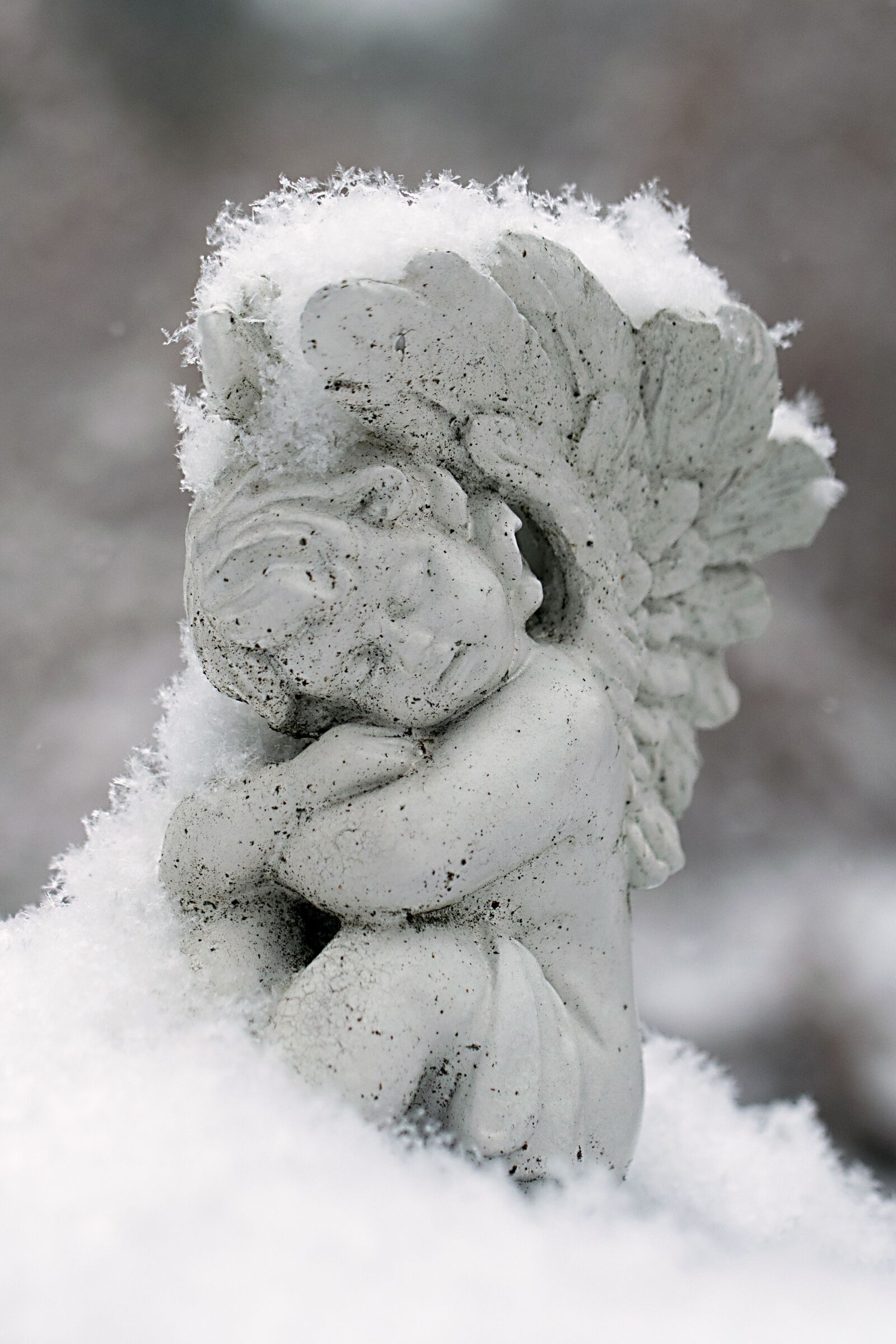 Nikon D3300 sample photo. Snow, winter, frost photography