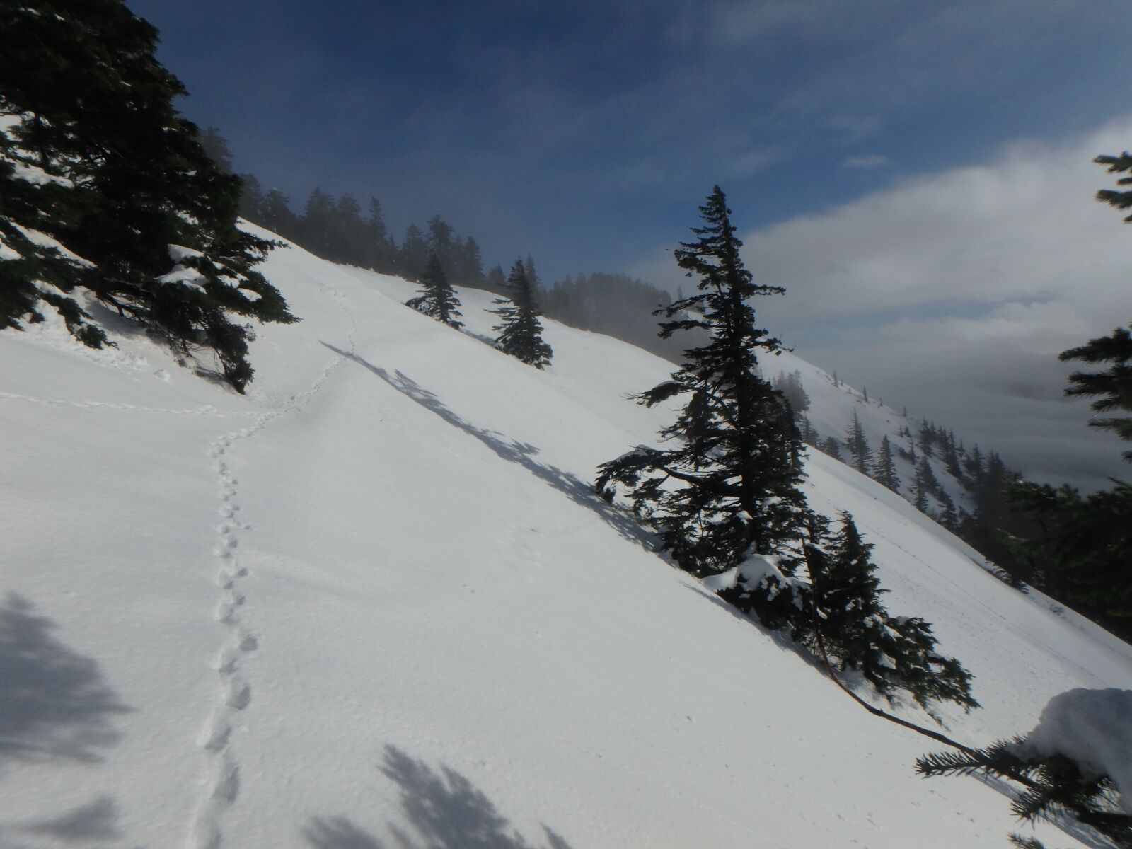 Olympus TG-860 sample photo. Snow, mountain, winter photography