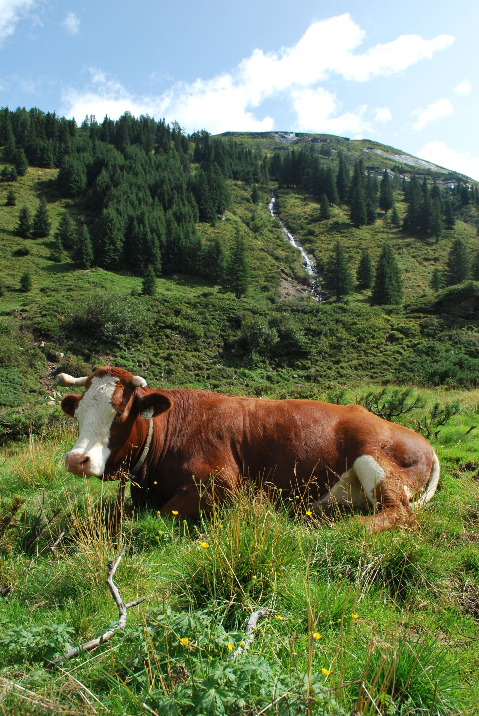 Nikon D60 sample photo. Alps, mountains, austria photography