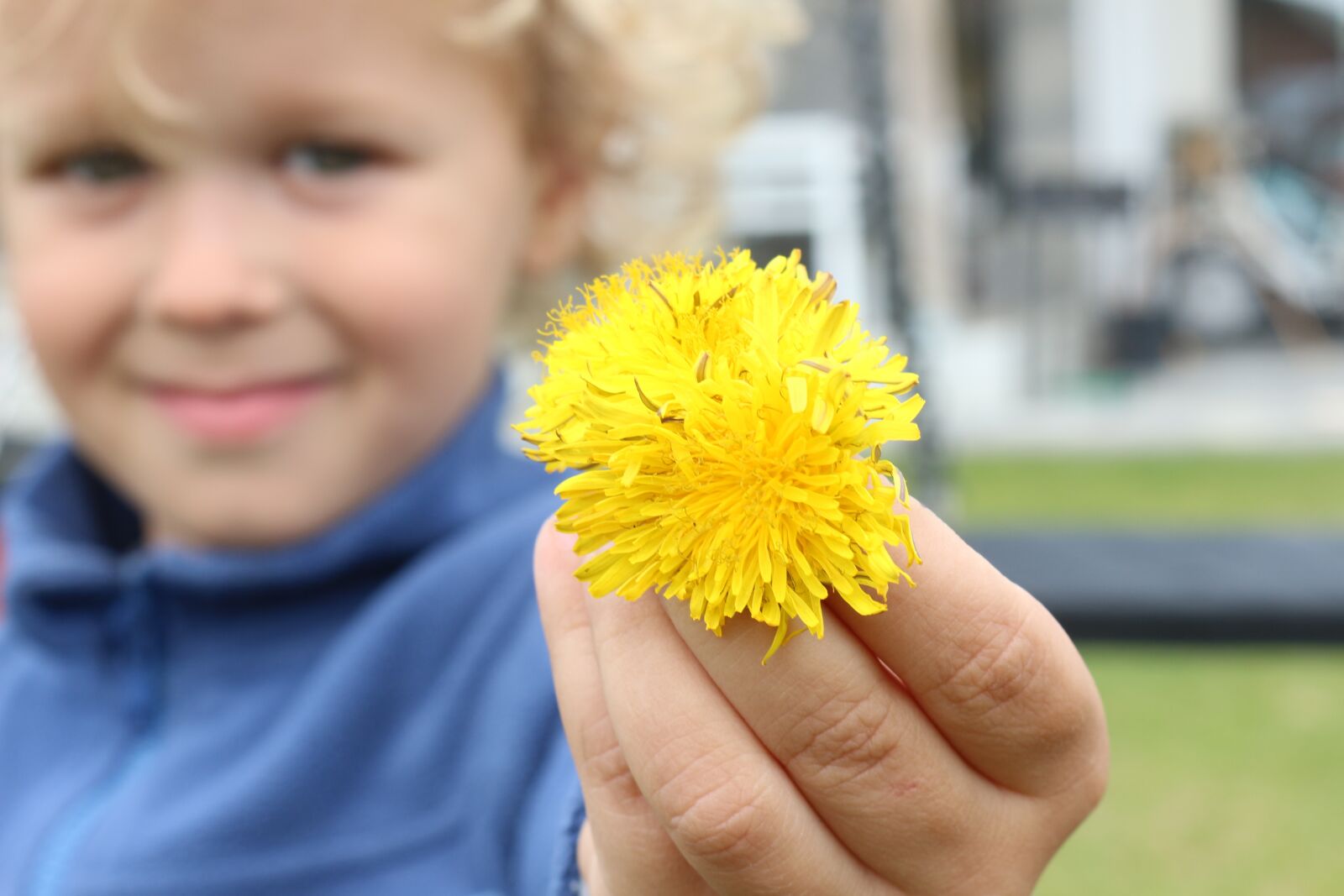 Canon EOS 700D (EOS Rebel T5i / EOS Kiss X7i) sample photo. Flowers, brother, plant photography
