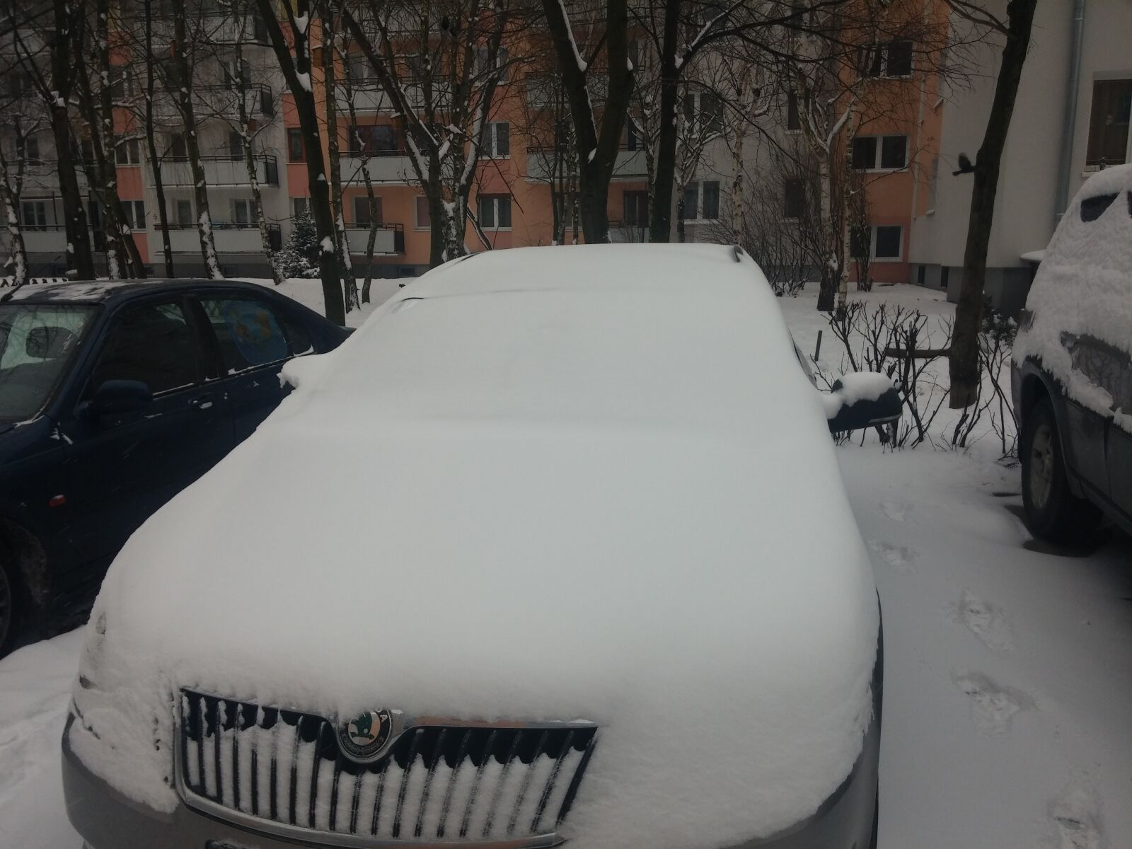 LG G2 sample photo. Car, skoda, snow, vehicle photography