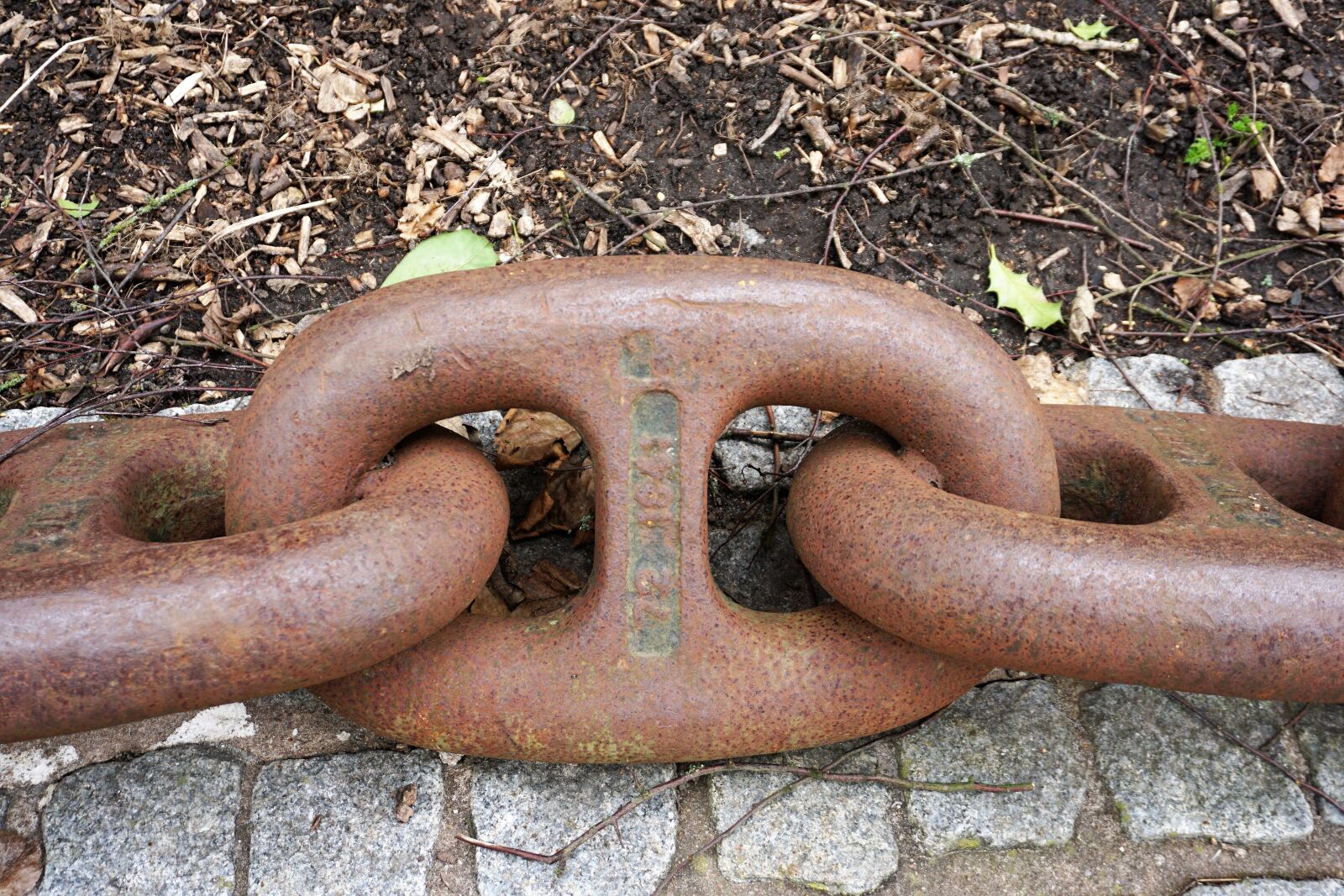 Sony a6000 sample photo. Links of the chain photography