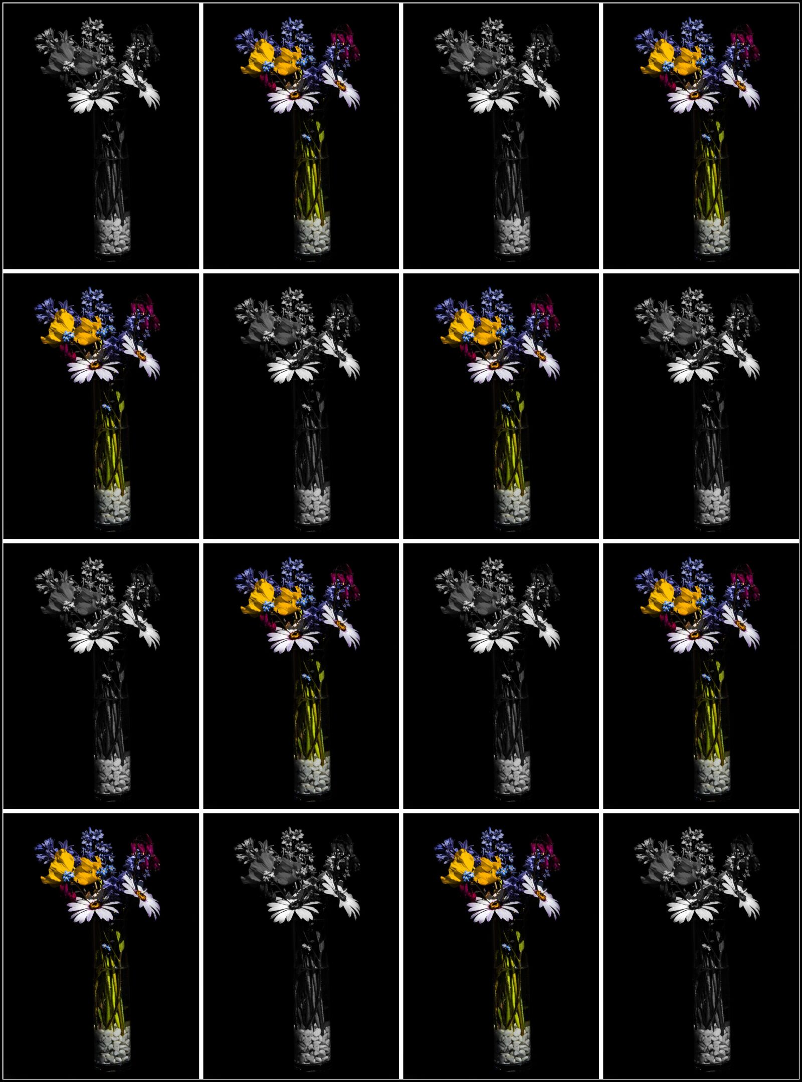 LEICA DG 12-60/F2.8-4.0 sample photo. Flowers, multi, decorative photography