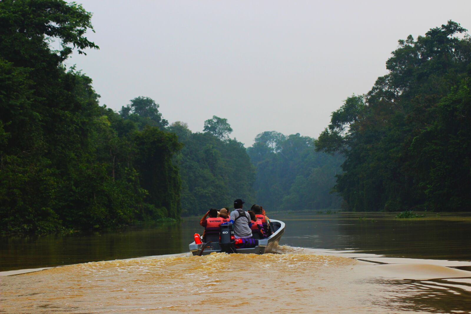 Canon EOS 600D (Rebel EOS T3i / EOS Kiss X5) sample photo. Rainforest, adventure, asia photography
