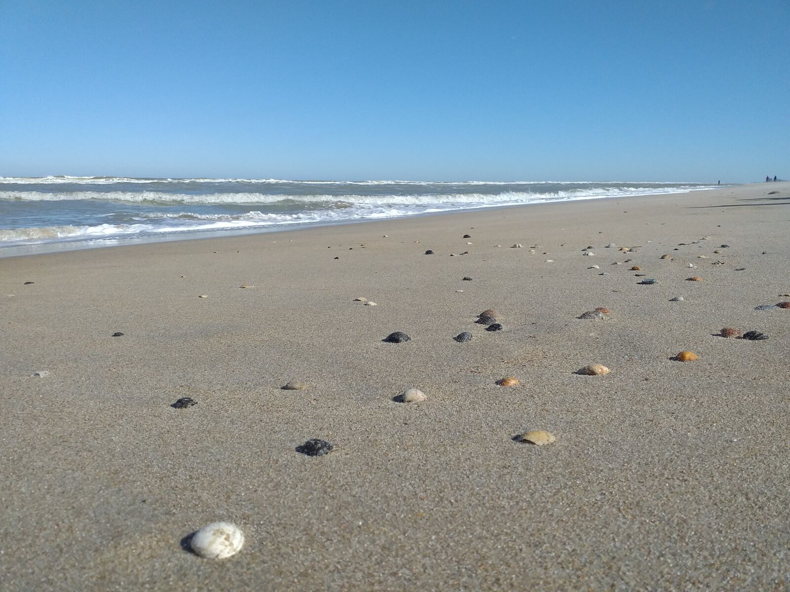 Samsung Galaxy J4+ sample photo. Beach, sea shells, water photography