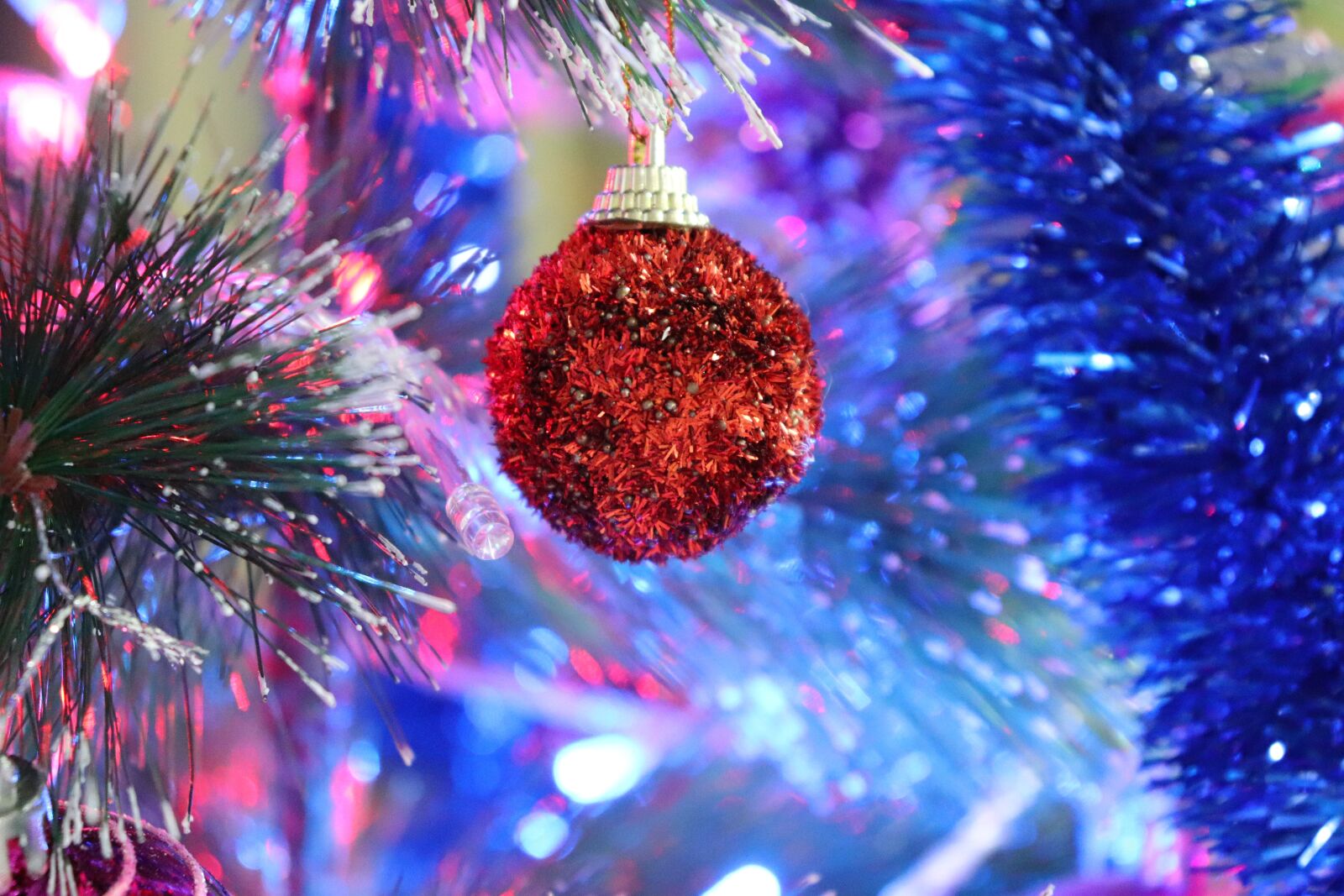 Canon EOS 200D (EOS Rebel SL2 / EOS Kiss X9) sample photo. Christmas, decoration, red photography