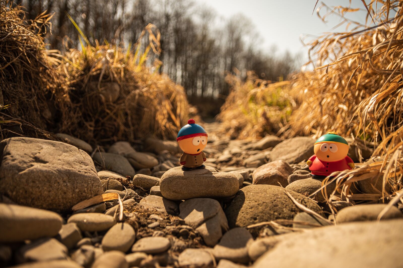 Nikon D7500 sample photo. Southpark, funny, toys photography