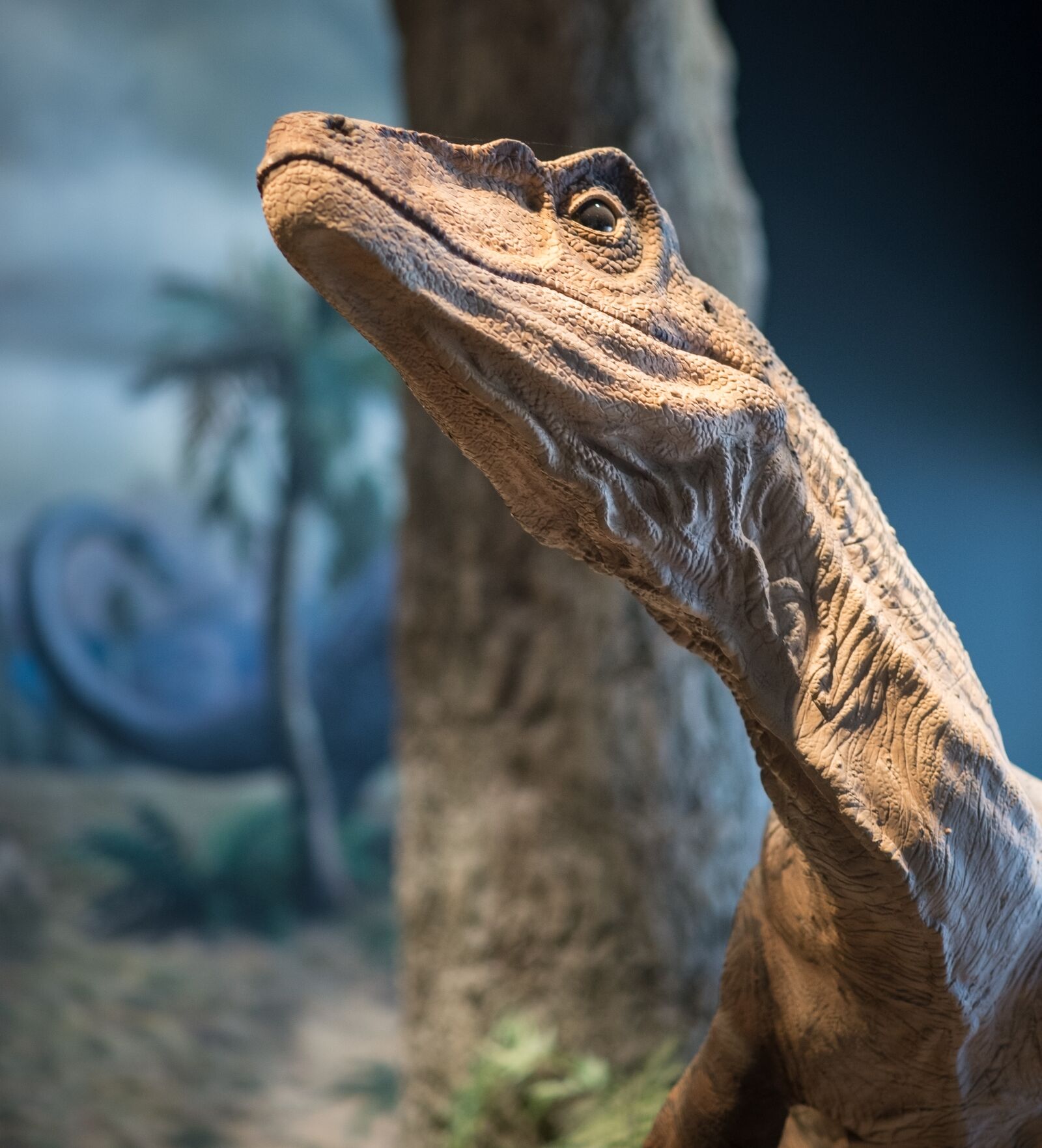 Nikon D600 sample photo. Dinosaur, close up, portrait photography