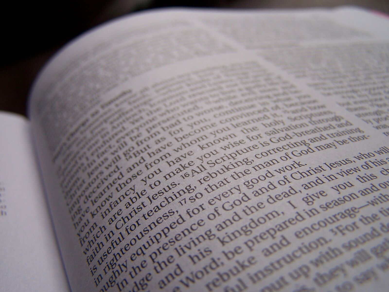 Kodak DX7590 ZOOM DIGITAL CAMERA sample photo. Holy, bible, book photography