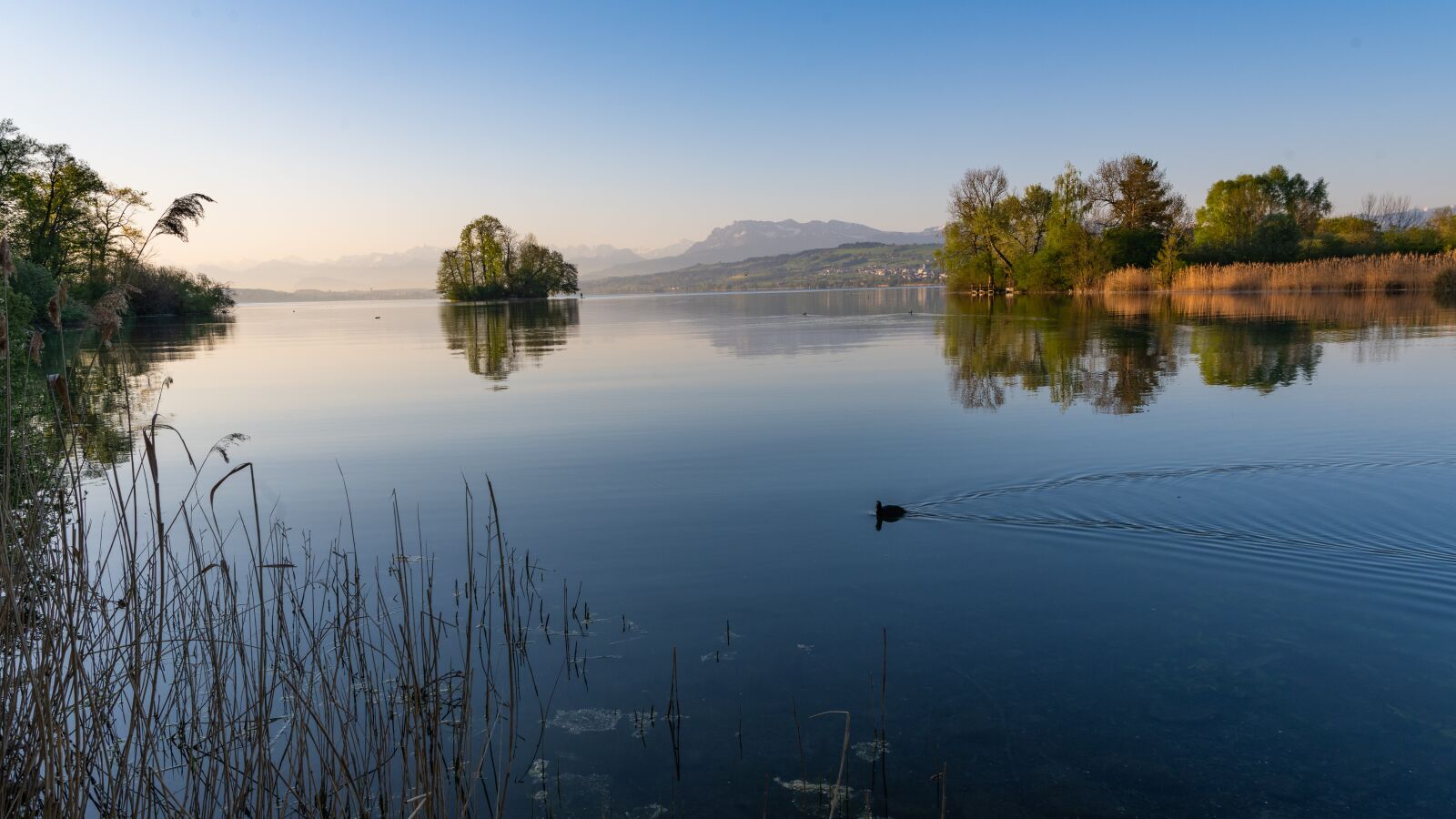Nikon Z7 sample photo. Morgenstimmung, lake, quiet photography