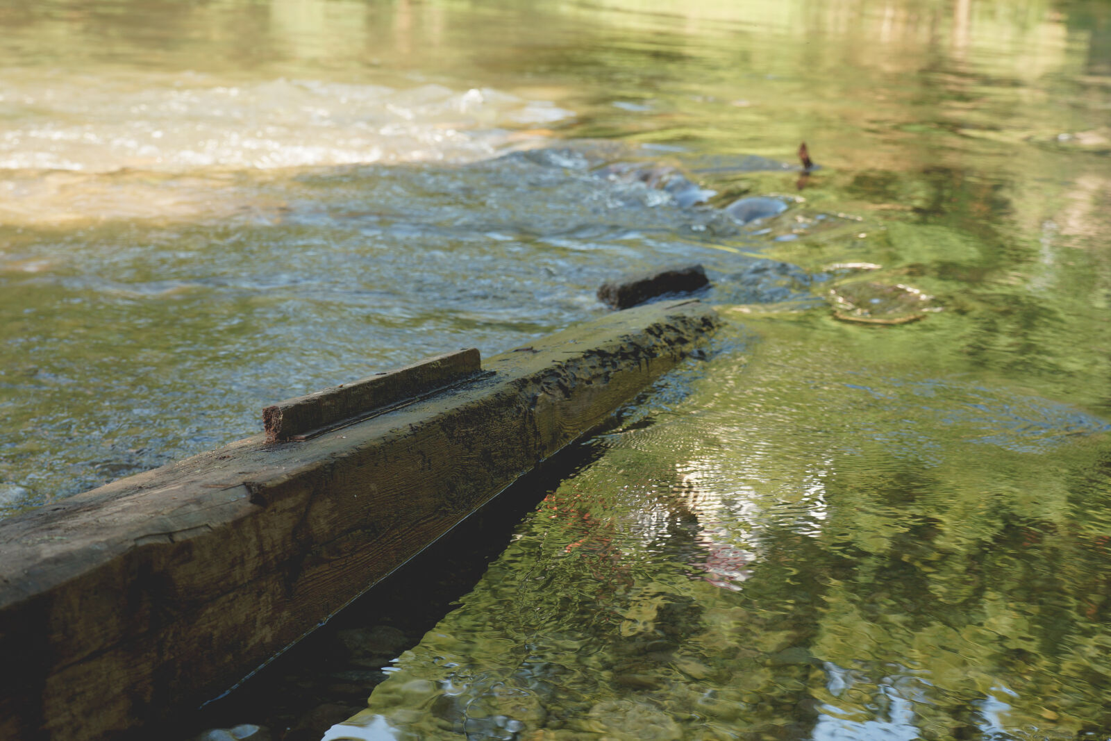 24-70mm F2.8-2.8 SSM sample photo. Nature, river, water, wood photography