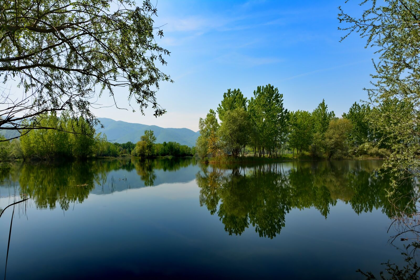 Nikon D7100 sample photo. Nature, sakarya, ponds photography