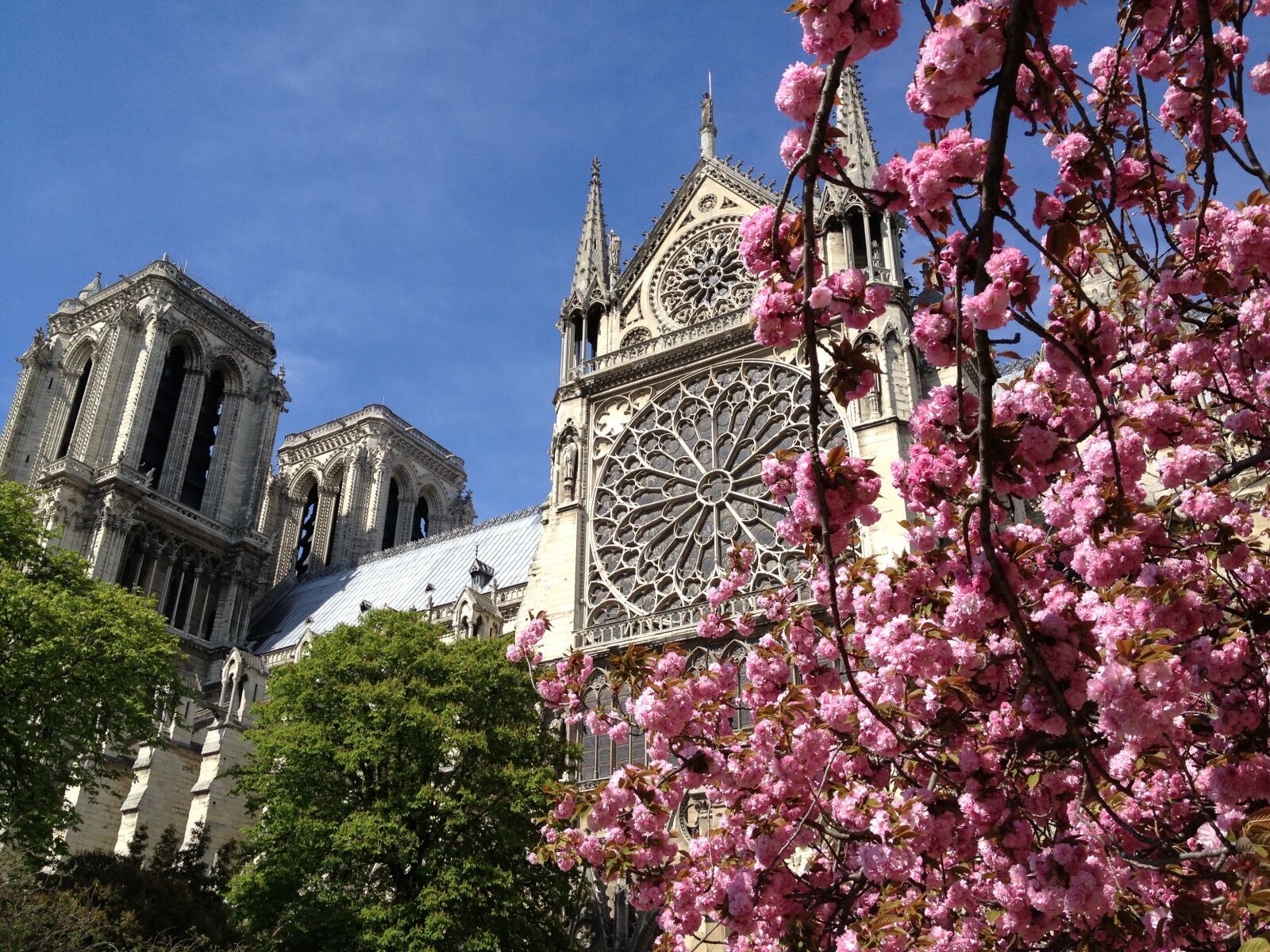 Apple iPhone 4S sample photo. France, paris, spring photography