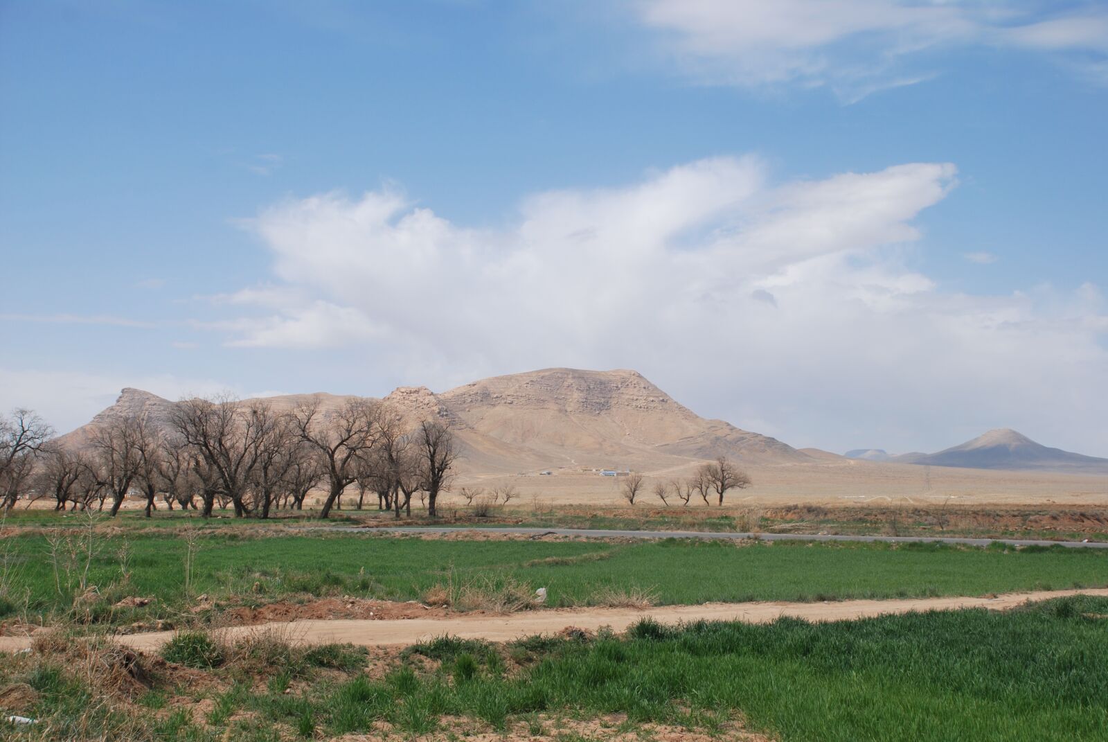 Nikon D60 sample photo. Weald, desert, esfahan photography