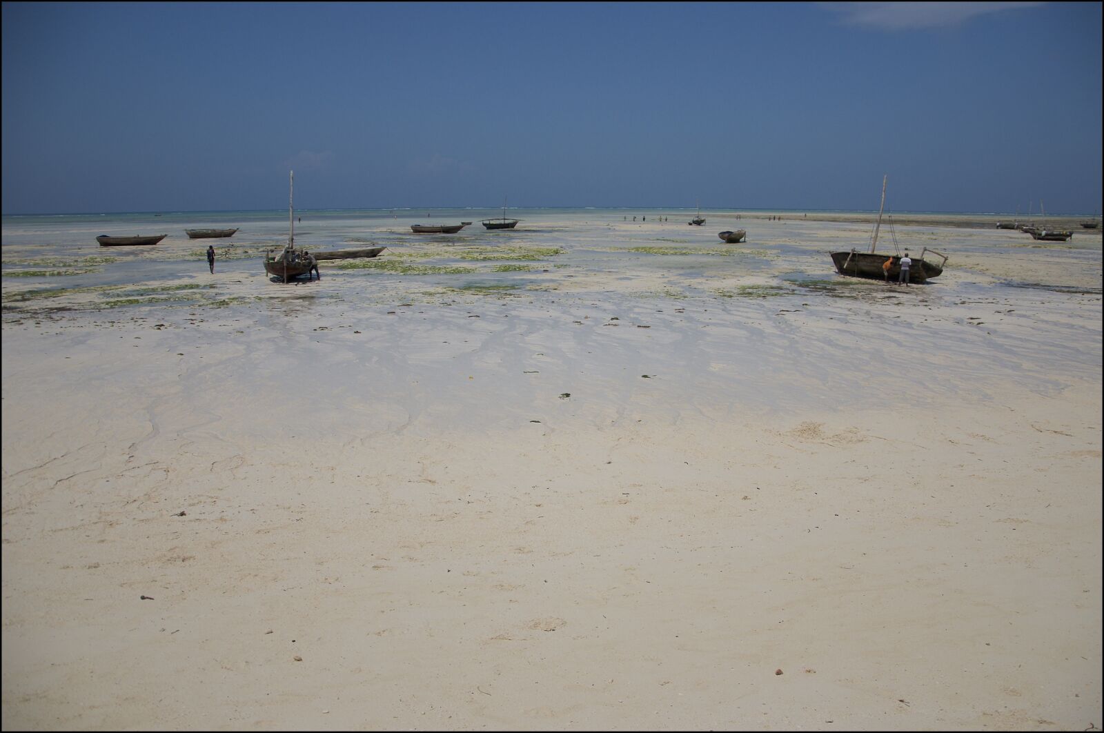 Nikon D300 sample photo. Zanzibar, indian ocean, tanzania photography