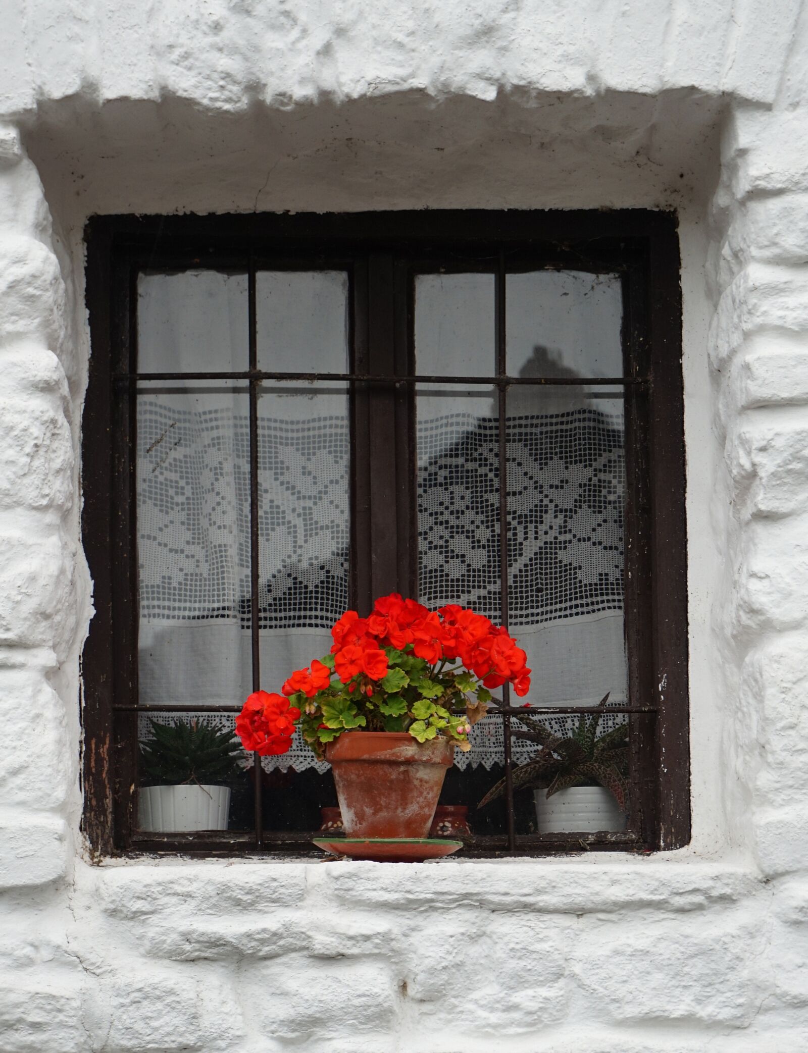 Sony Alpha a5000 (ILCE 5000) sample photo. Window, house, family photography