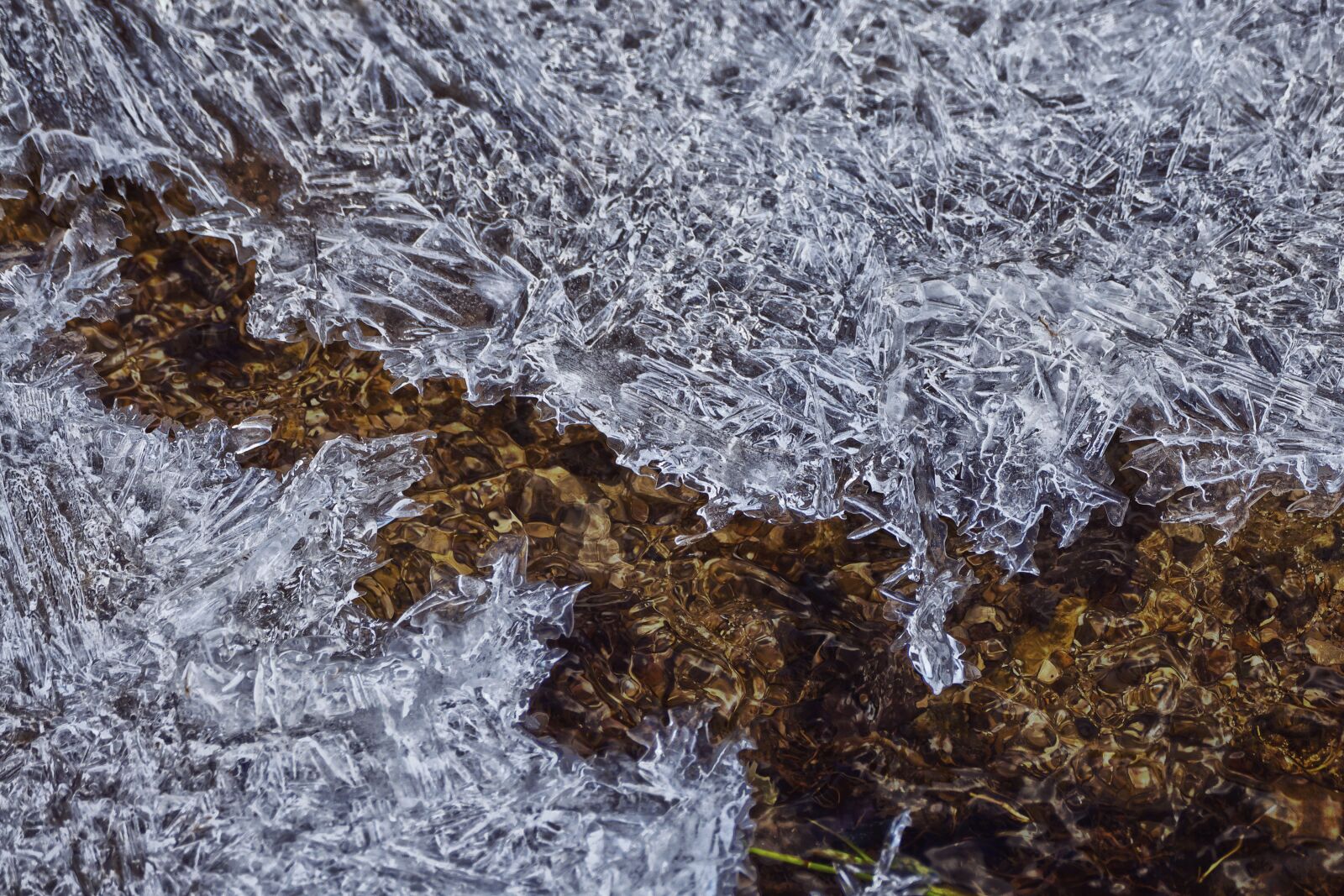 Panasonic Lumix DMC-FZ1000 sample photo. Water, icy, eiskristalle photography