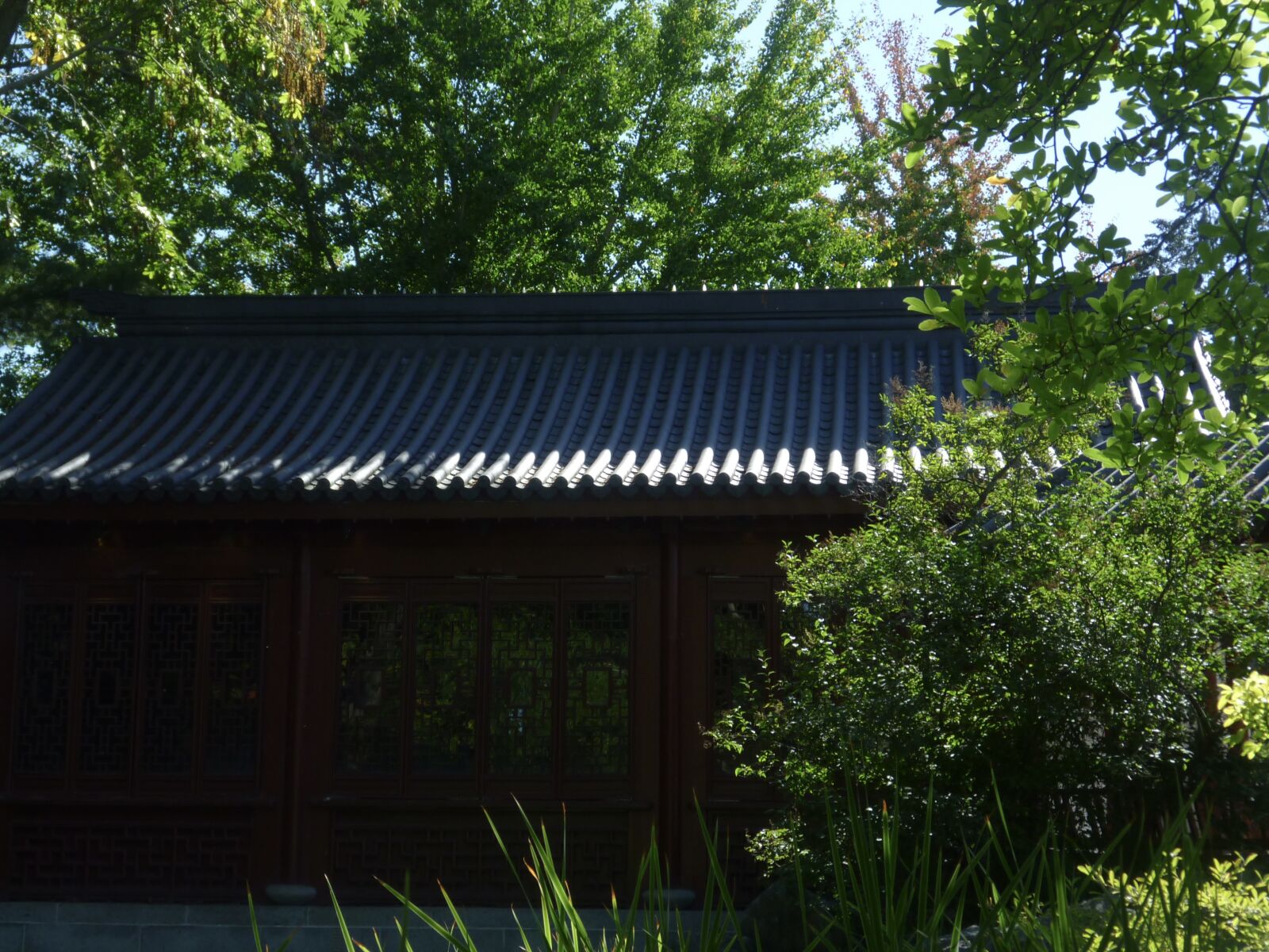 Panasonic DMC-ZR1 sample photo