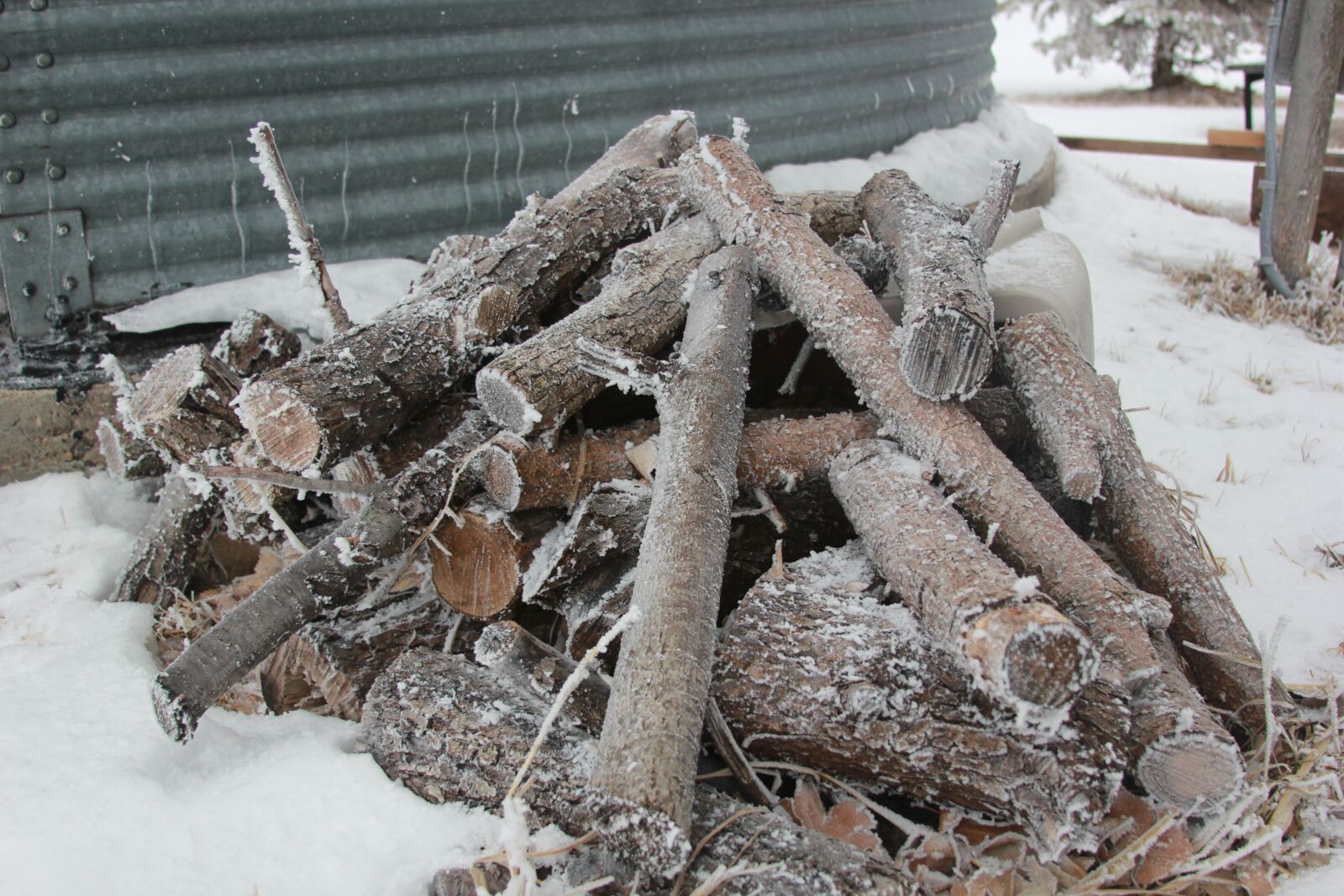 Canon EOS 550D (EOS Rebel T2i / EOS Kiss X4) sample photo. Firewood, frost, woodpile photography