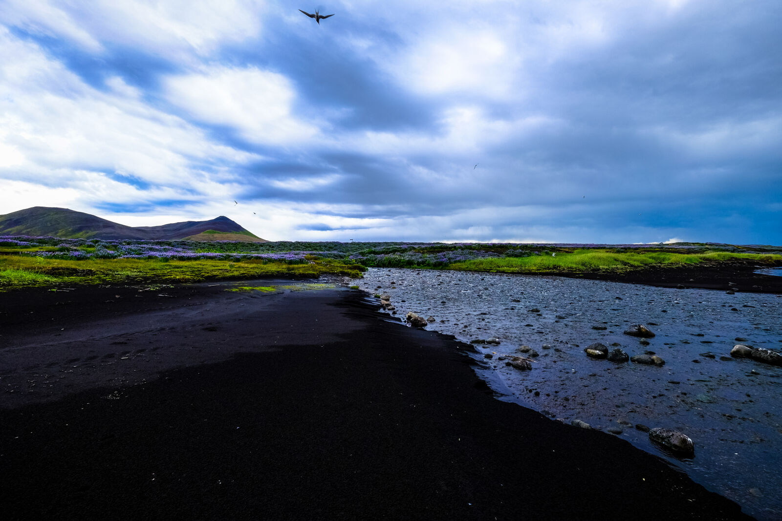 Fujifilm X-T1 + Fujifilm XF 10-24mm F4 R OIS sample photo. Bird, clouds, environment, idyllic photography