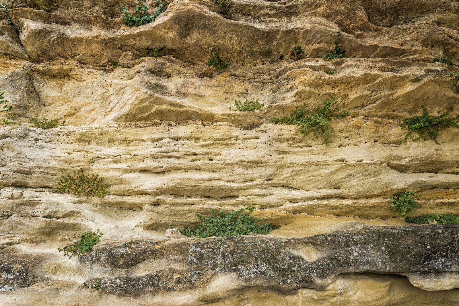 Nikon D800 sample photo. Safre, roche, sandstone photography