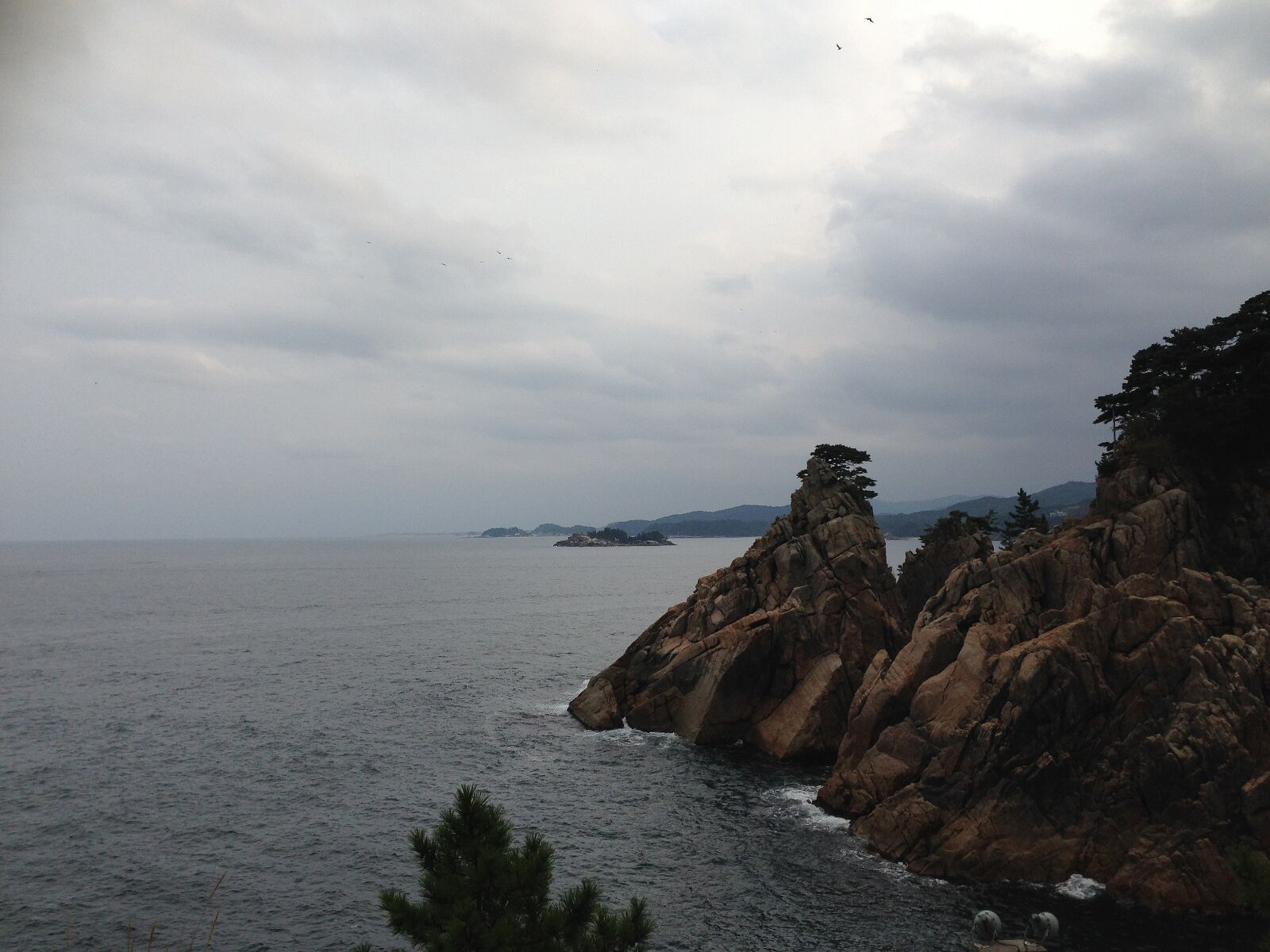 Apple iPhone 5 sample photo. Pine, loneliness, sea photography
