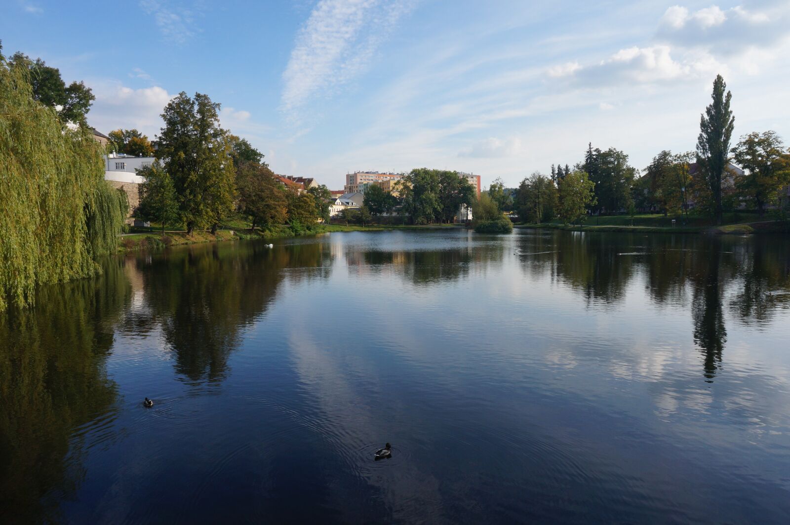 Sony Alpha NEX-3N sample photo. Pond, duck, ducks photography