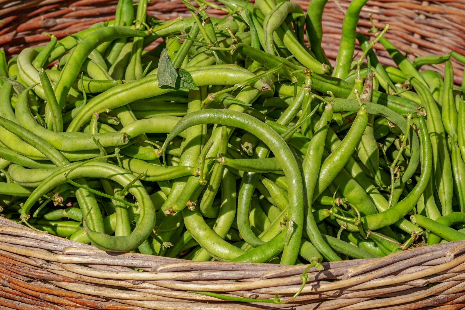 Fujifilm XF 55-200mm F3.5-4.8 R LM OIS sample photo. Beans, vegetables, basket photography