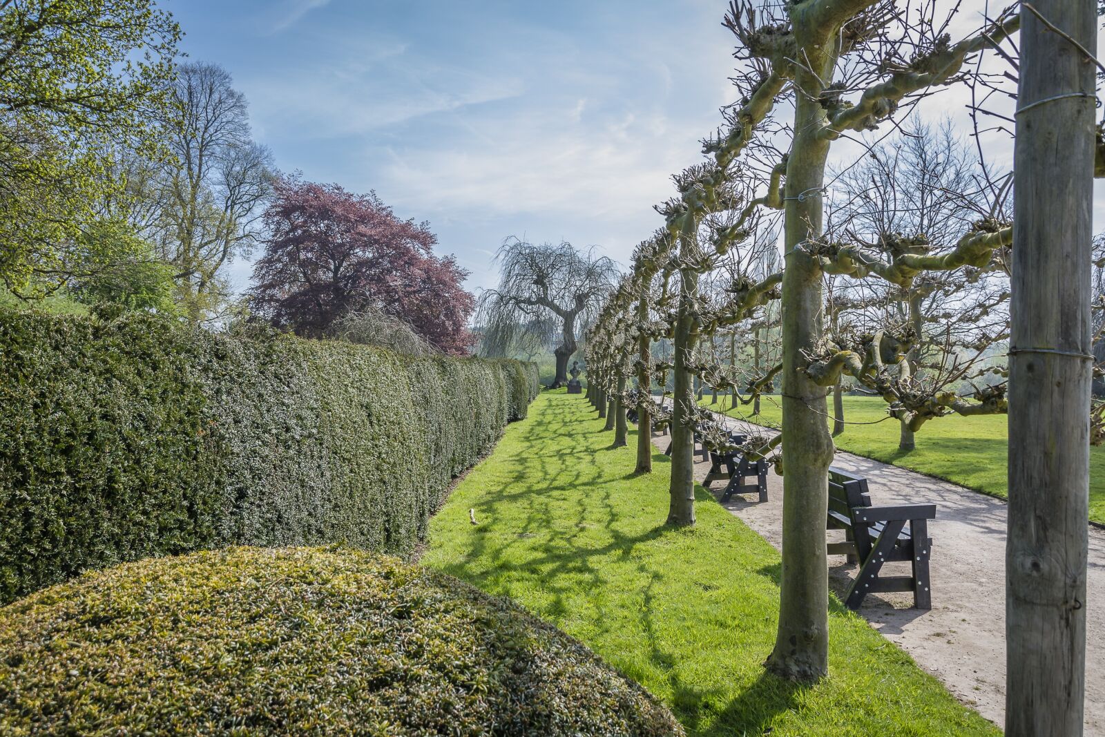 Nikon D7200 sample photo. Landscape, trees, hedging photography